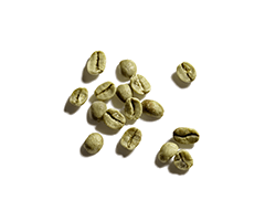 Caffeina Caffeina
