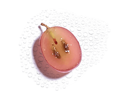 L'Eau de Raisin bio L'Eau de Raisin bio