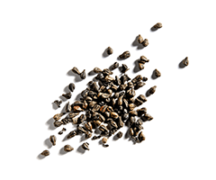 Polifenoli Polifenoli