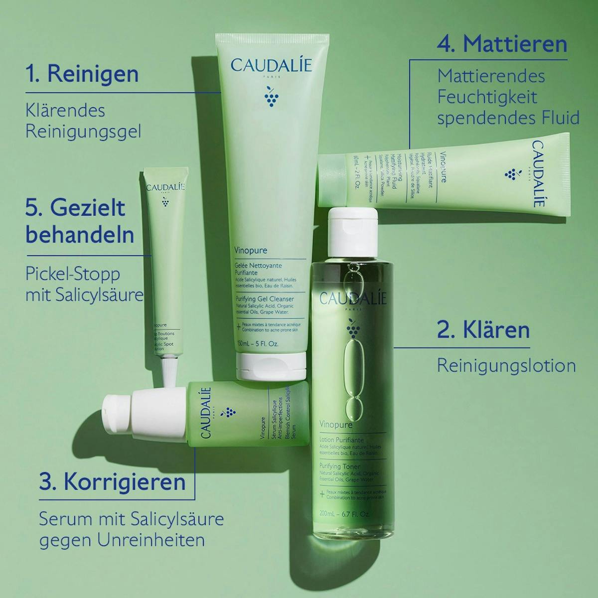 Ganzheitliche Anti-Unreinheiten-Routine