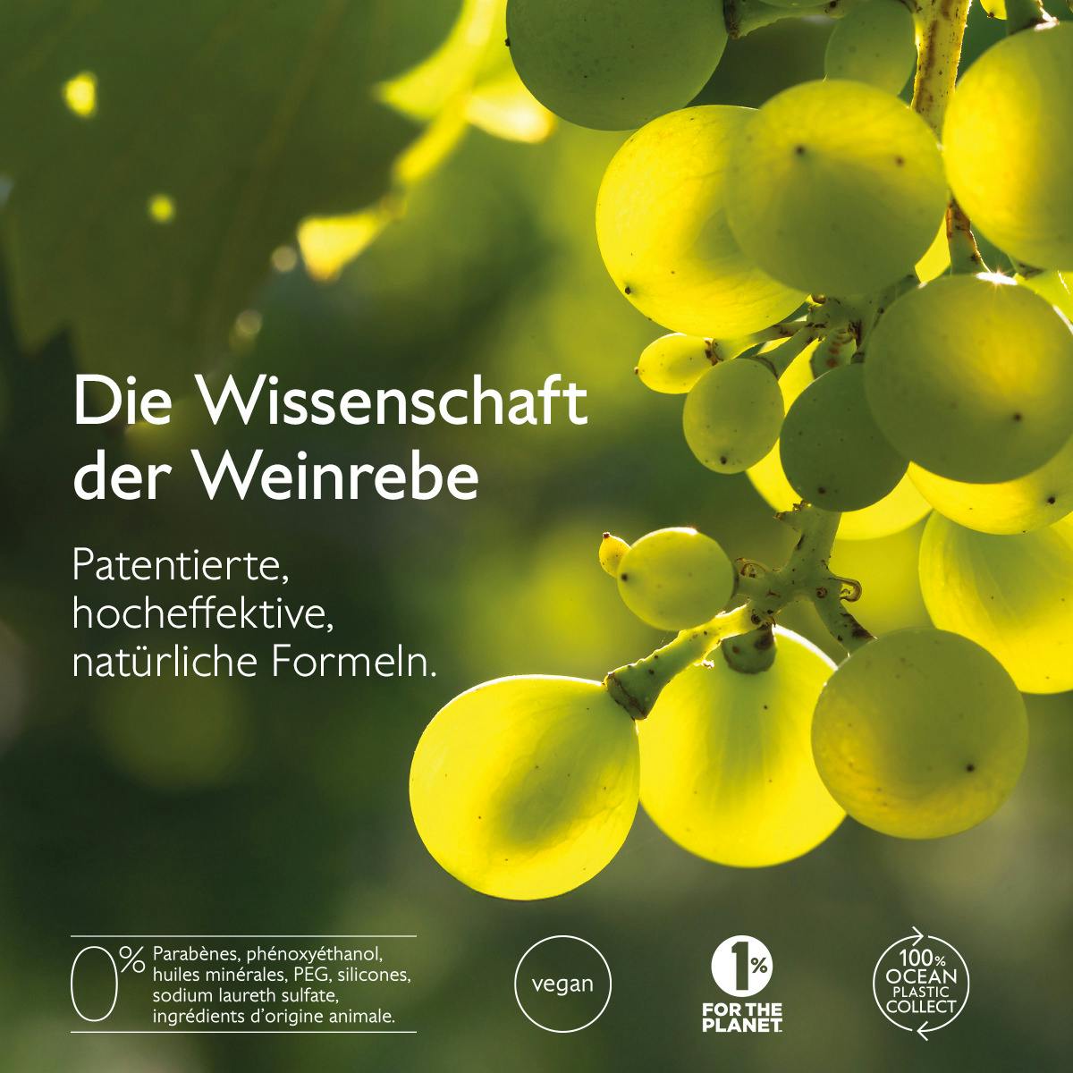 Mikro-Peeling Schaum Ausstrahlung mit Mandelsäure (AHA)