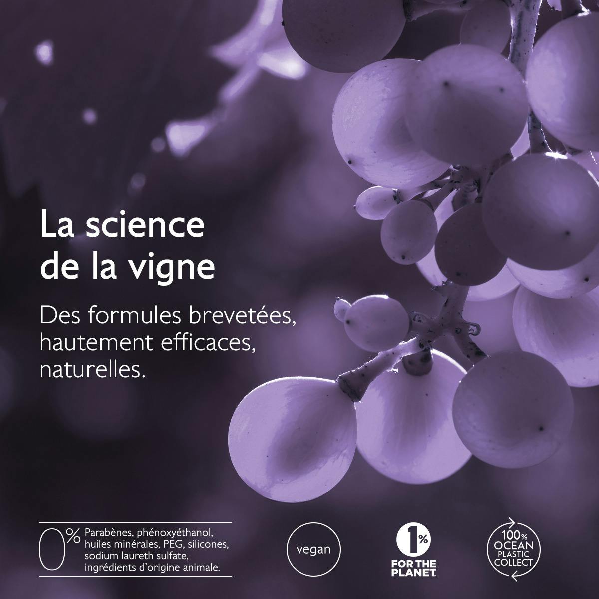 Shampoing Densité & Volume