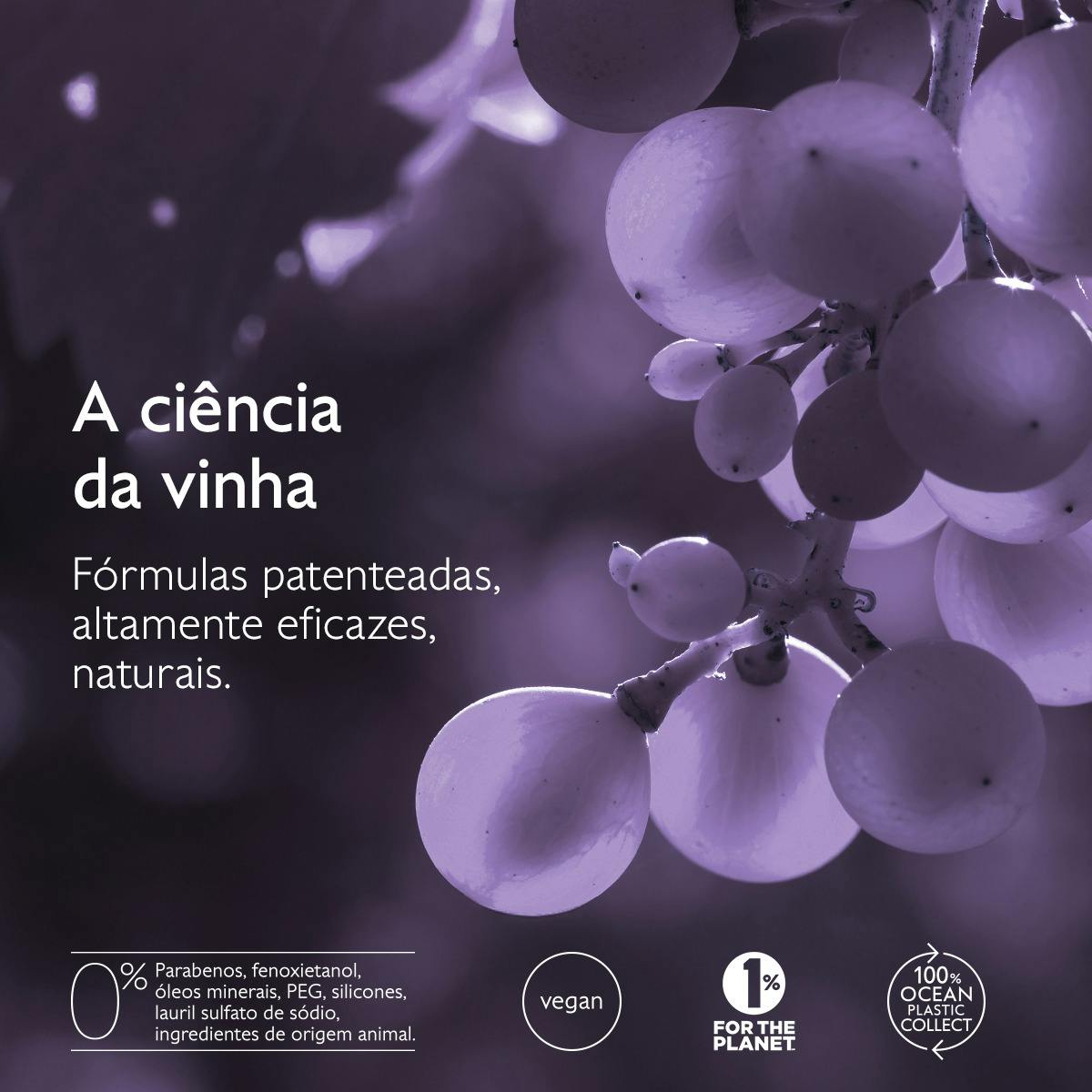 Champô Densidade & Volume