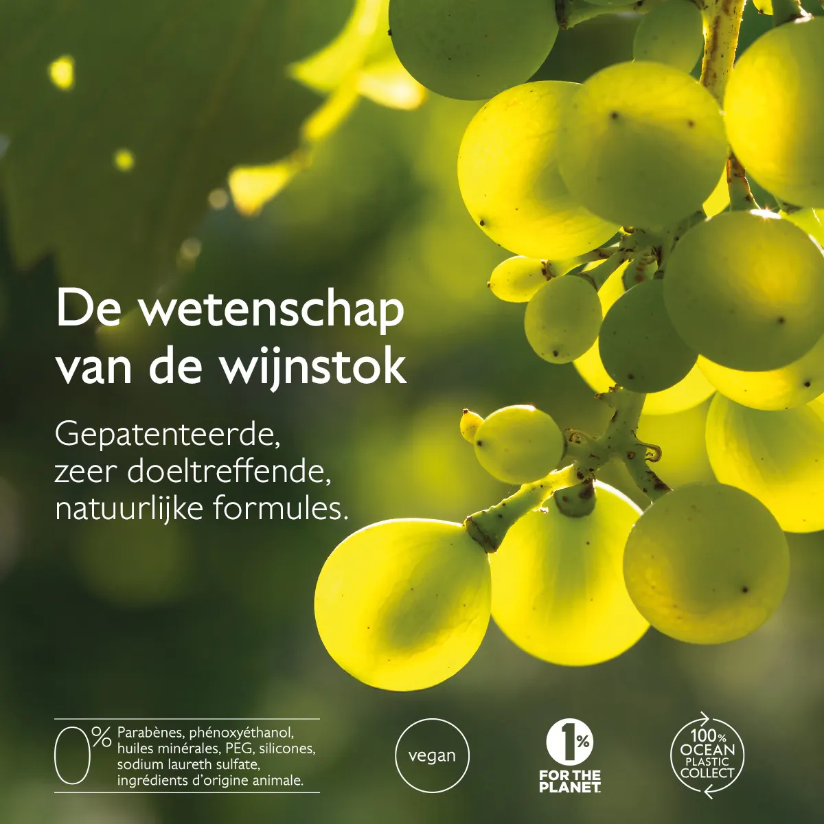 Glycol Nachtcrème tegen Pigmentvlekken