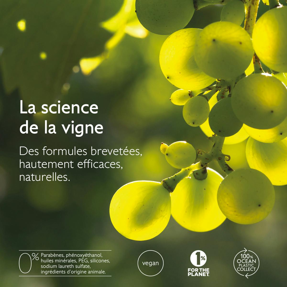 Sérum à l'Acide Salicylique Anti-imperfections