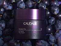 Thumbnail number 2 The Cream