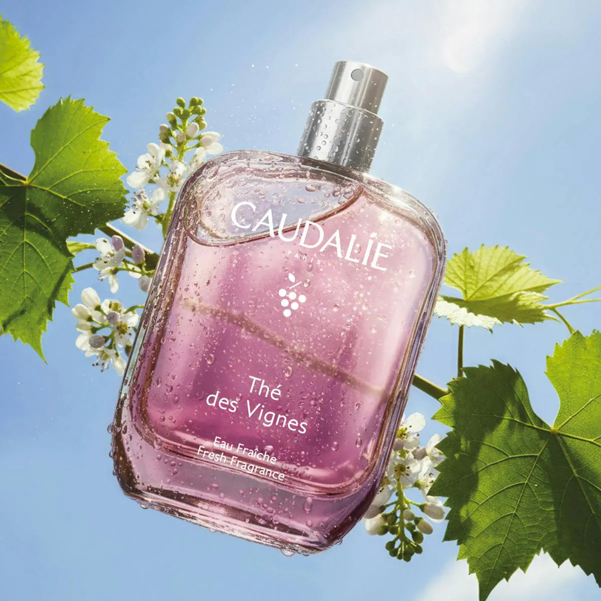 Thé des Vignes Geurwater - 50mL