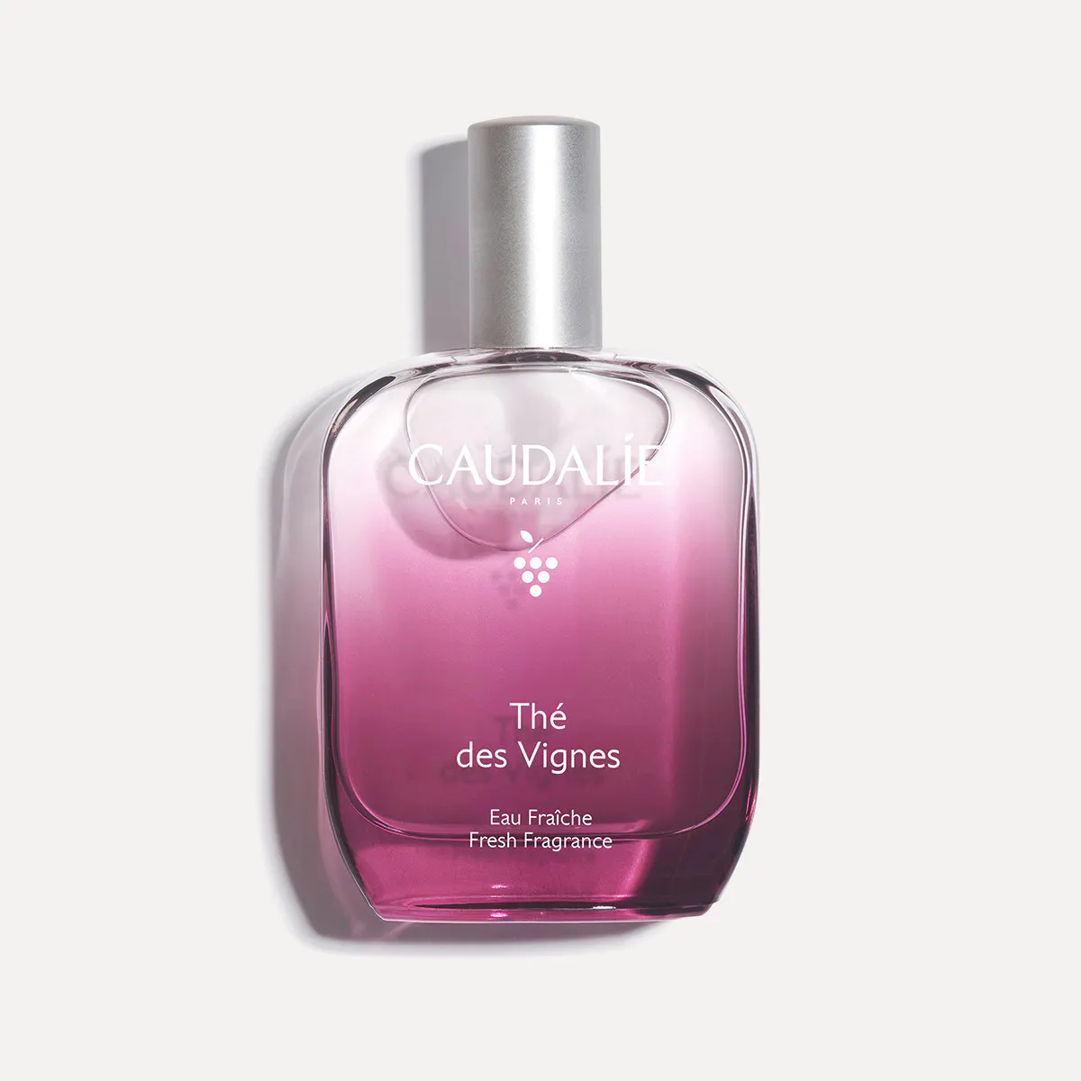 Thé des Vignes Fresh Fragrance