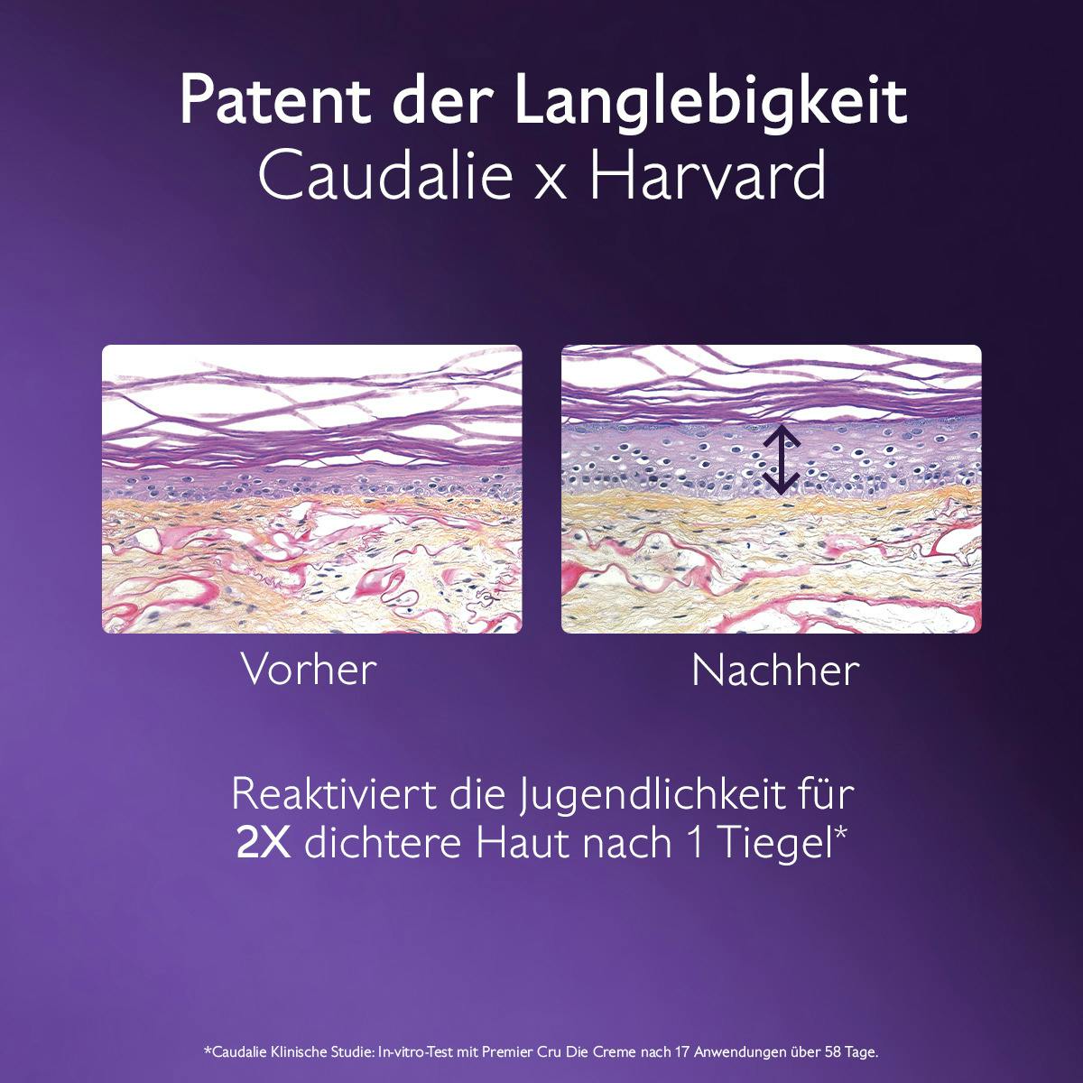 Das Serum mit Patent Langlebigkeit & Spannzuckern