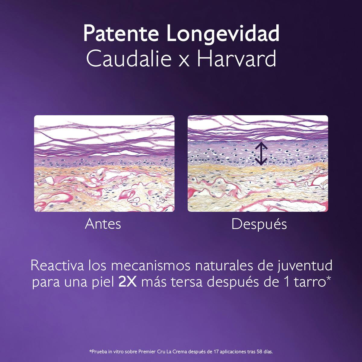 El Sérum con Patente Longevidad