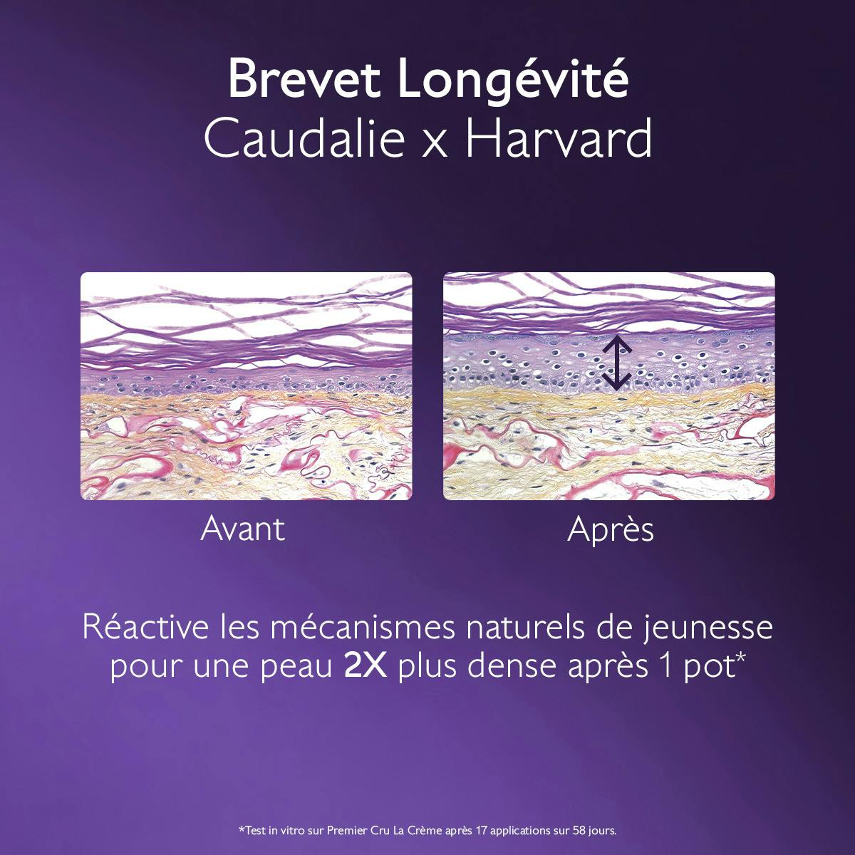 La Crème Riche au Brevet Longévité & bio-céramides