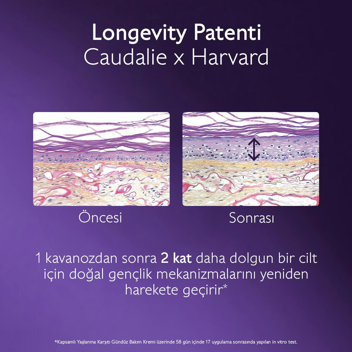 Kapsamlı Yaşlanma Karşıtı Yoğun Bakım Kremi