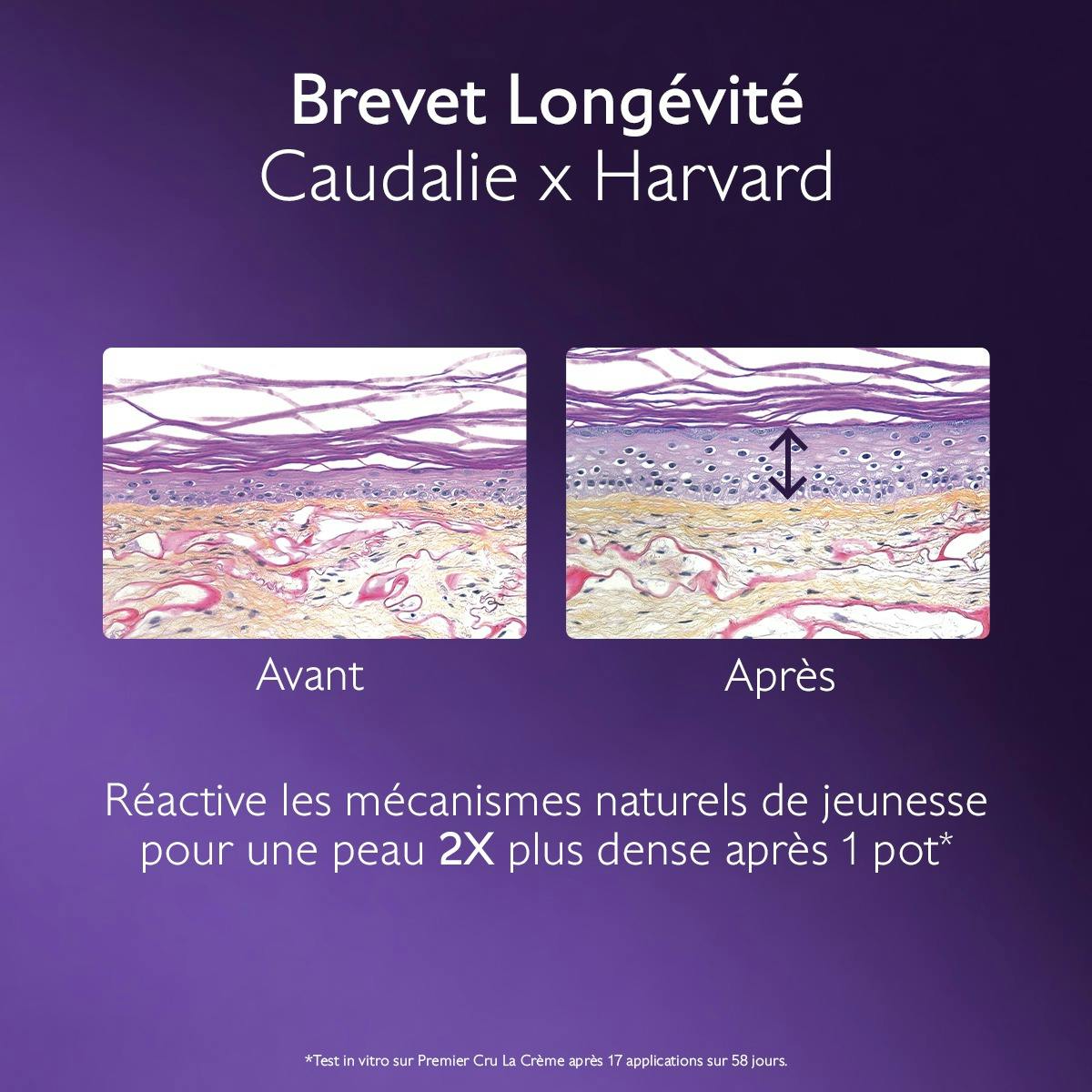 La Crème au Brevet Longévité & filler repulpant naturel