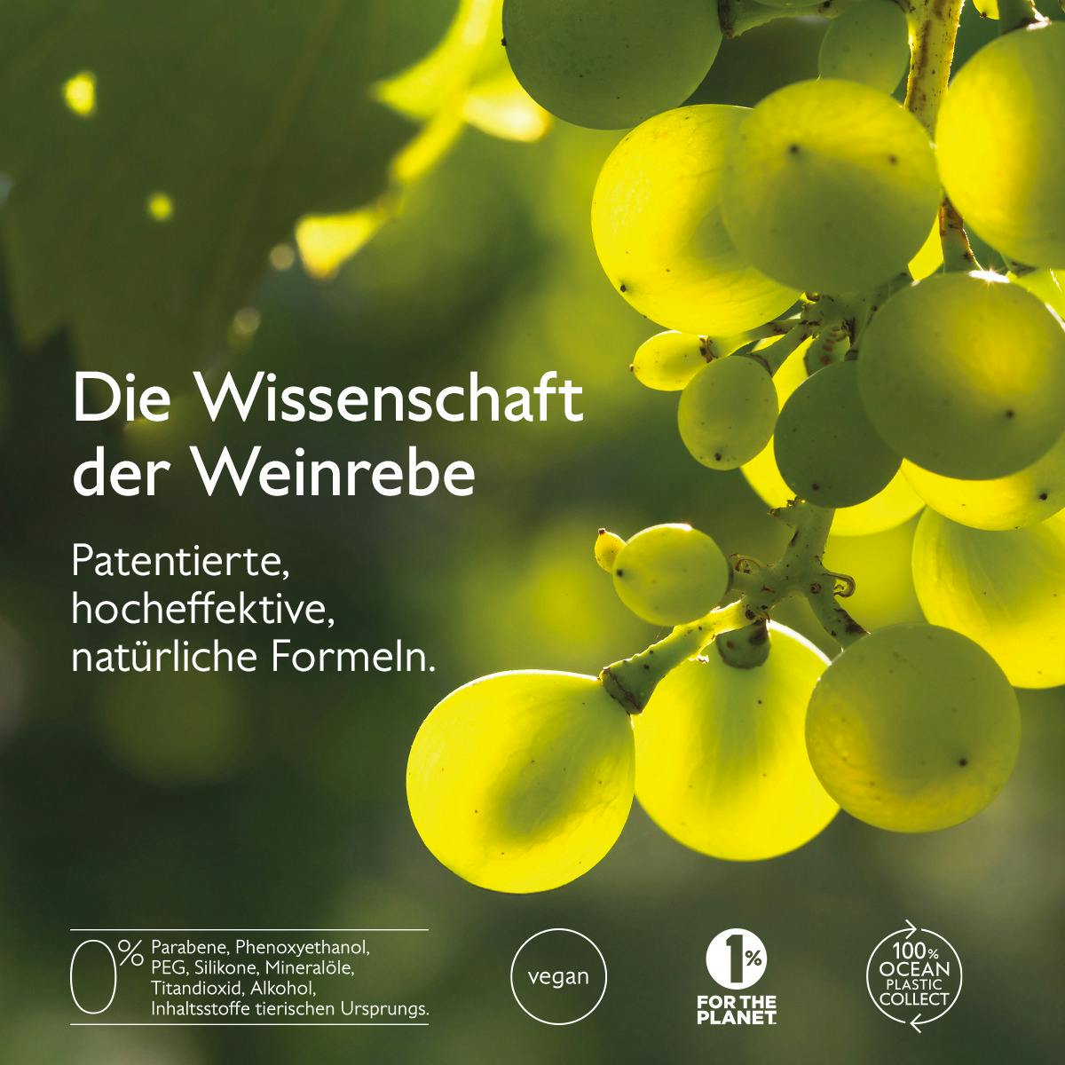Feuchtigkeitsspendendes Gesichtstonic mit Bio-Rosenhydrolat - 400ml