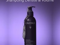 Shampoing Densité & Volume