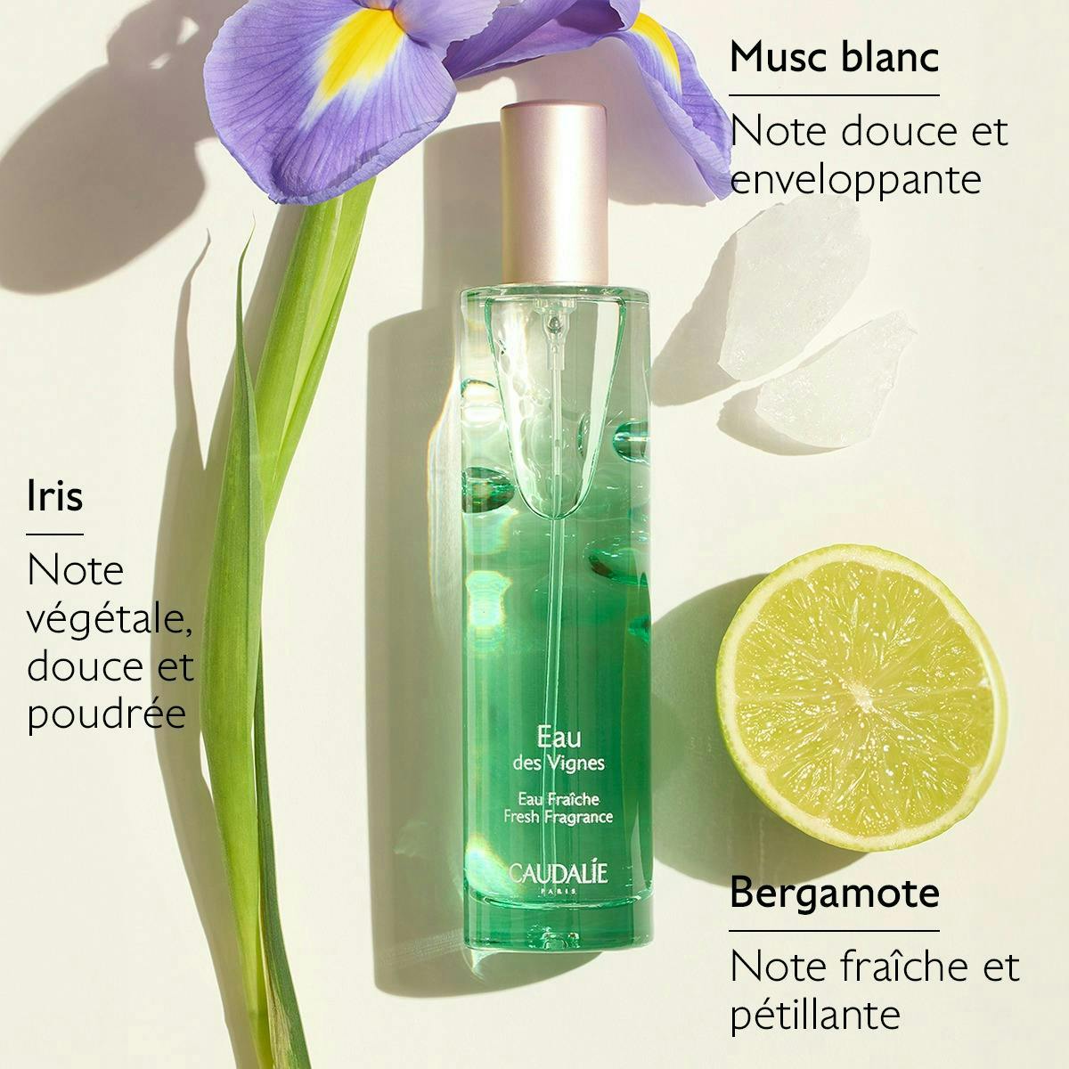 Eau Fraîche Eau des Vignes