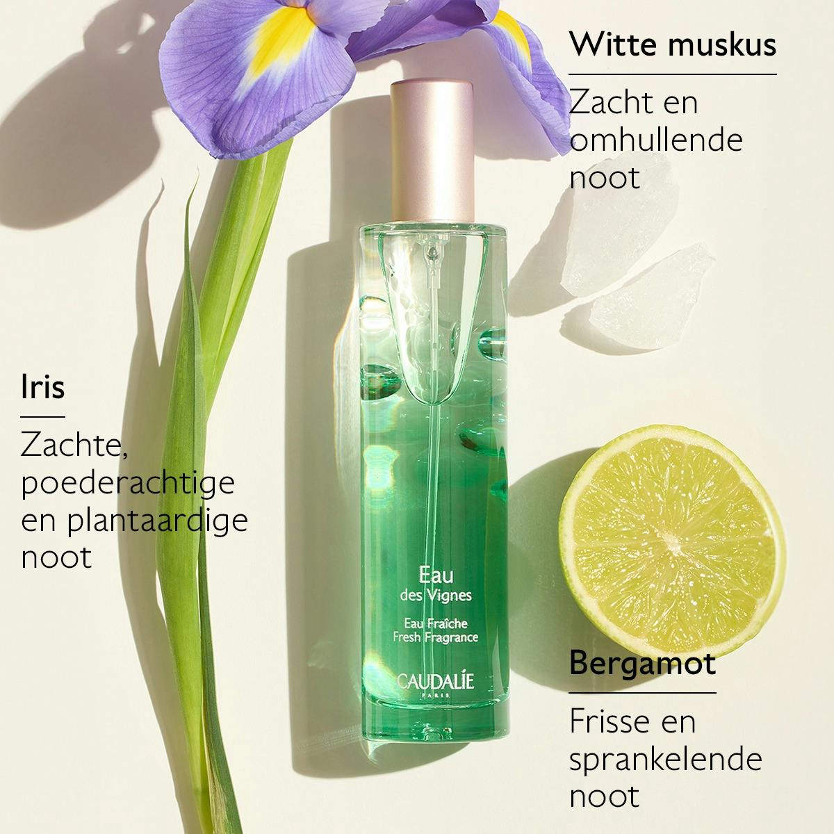 Eau Fraîche Eau des Vignes