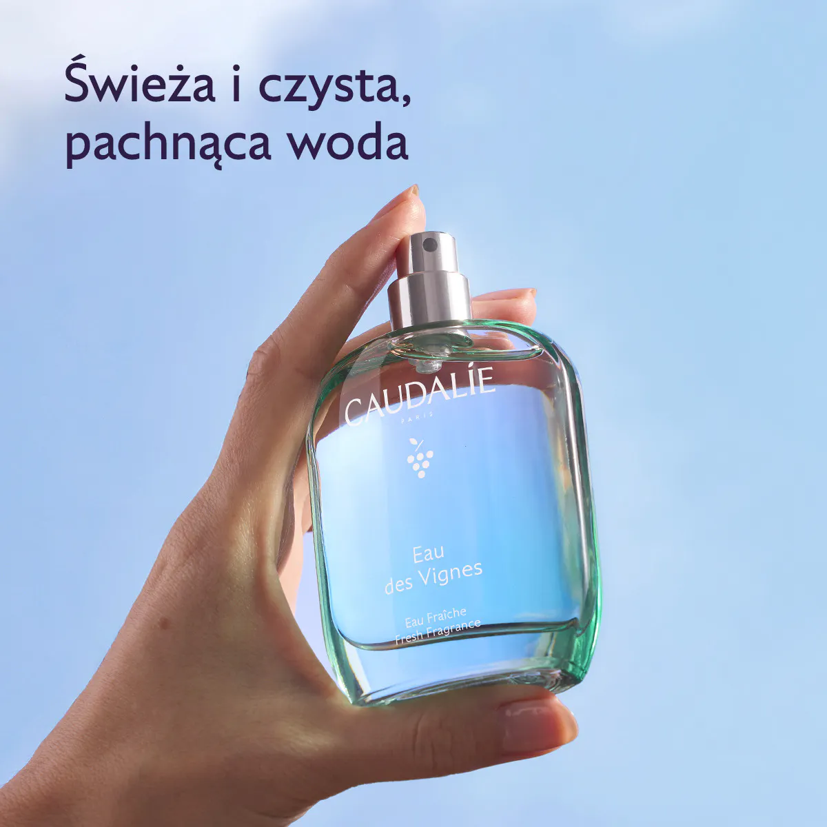 Orzeźwiająca Woda Eau des Vignes