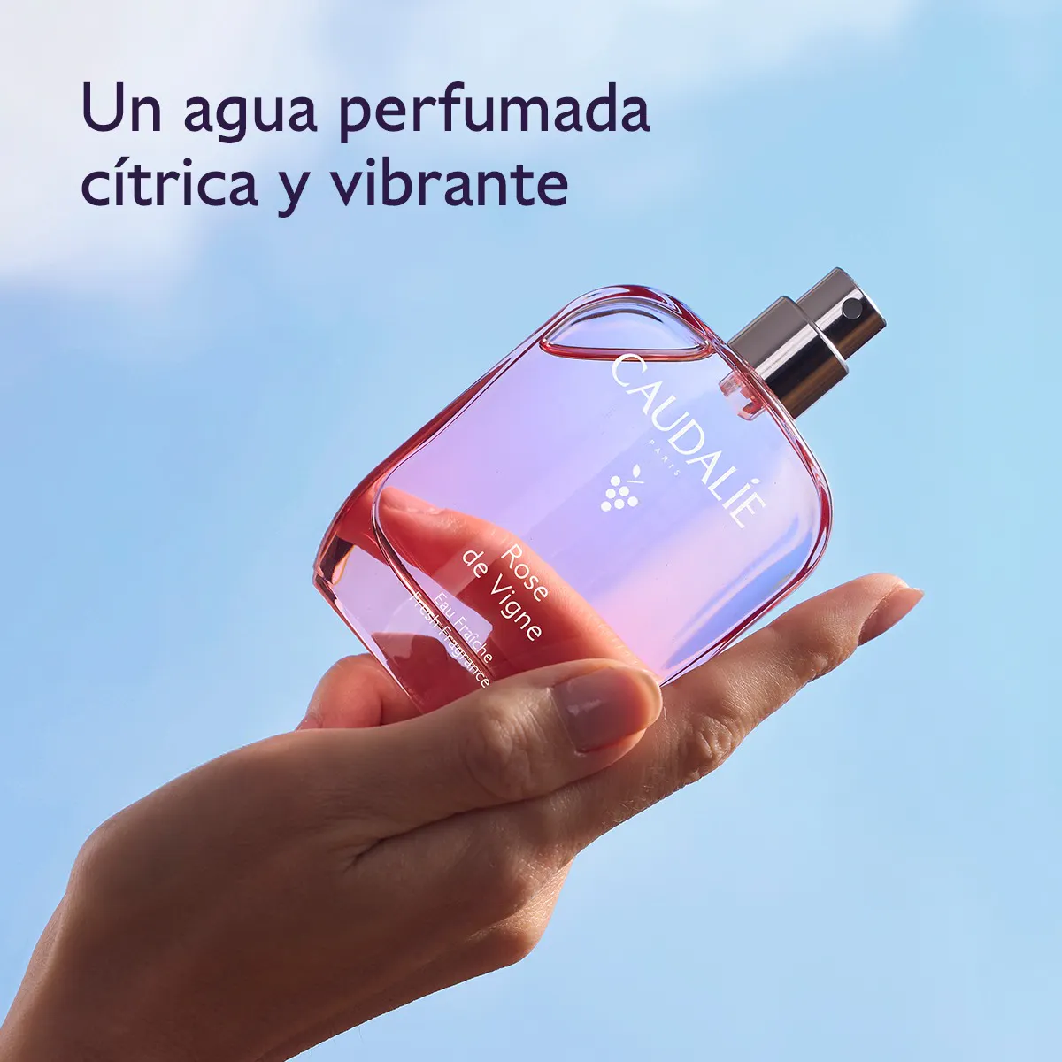 Agua Fresca Rose de Vigne