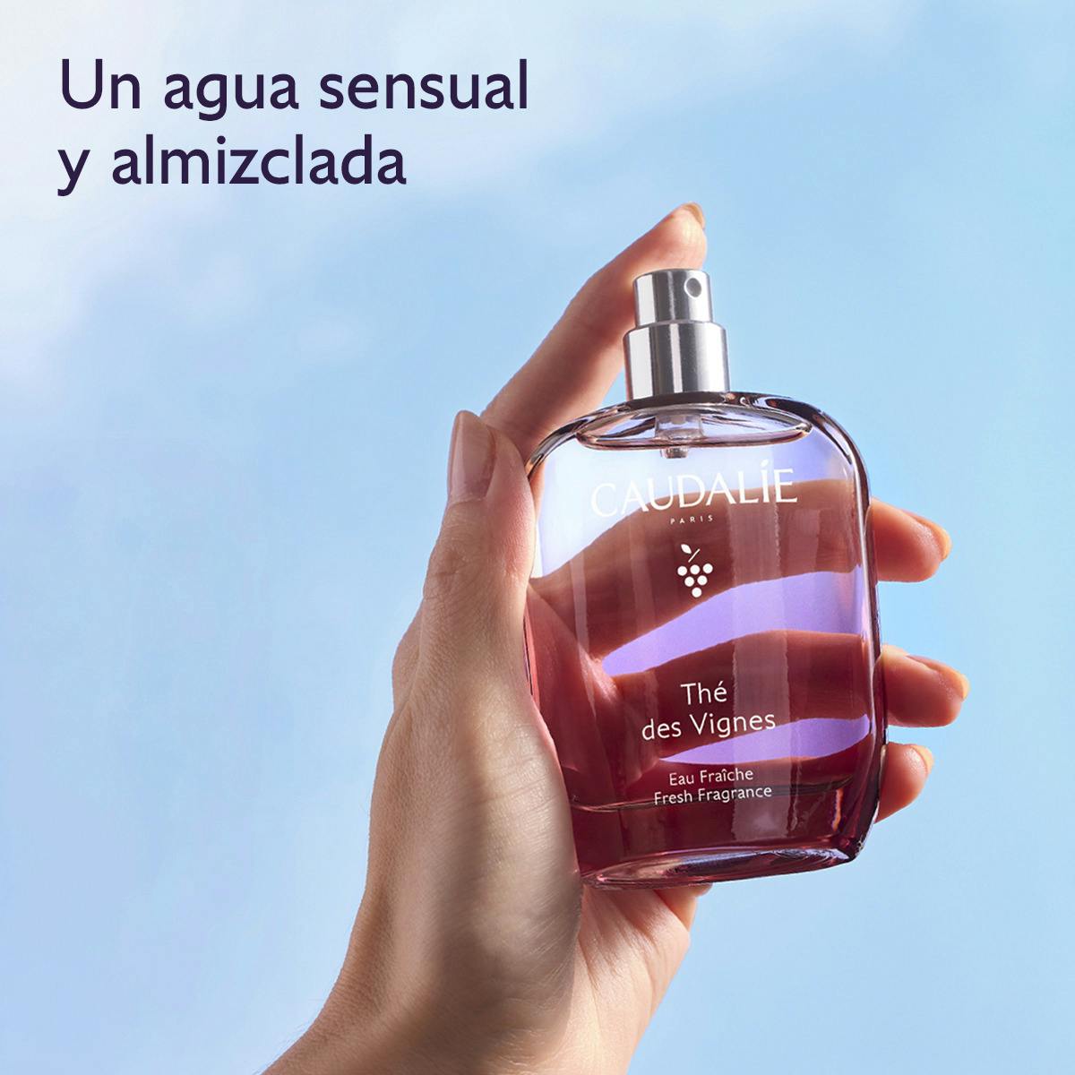 Eau Fraîche Thé des Vignes