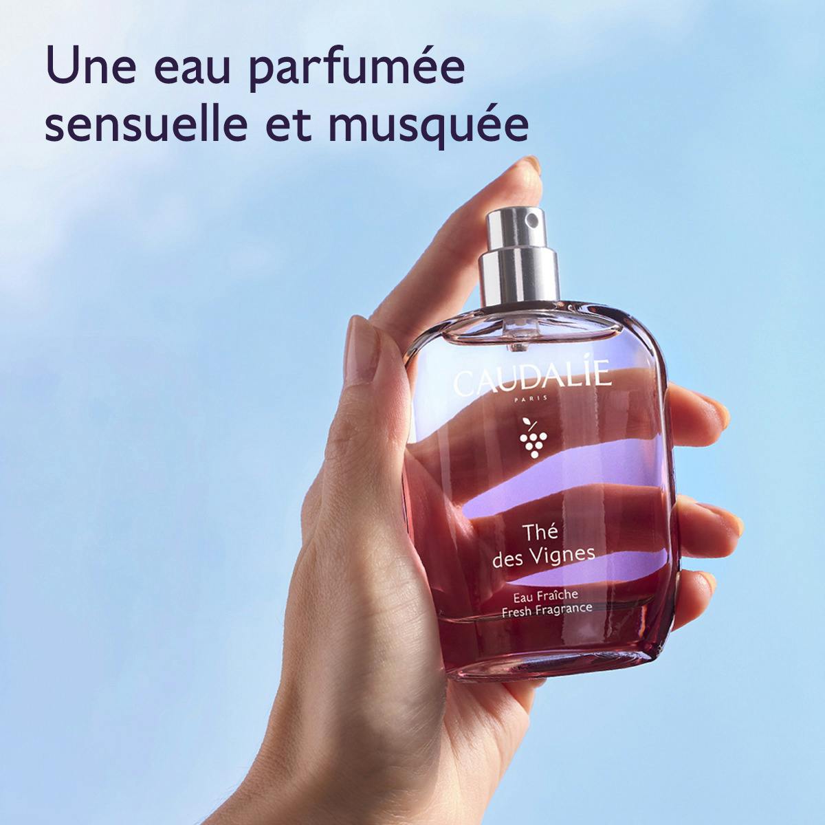 Eau Fraîche Thé des Vignes