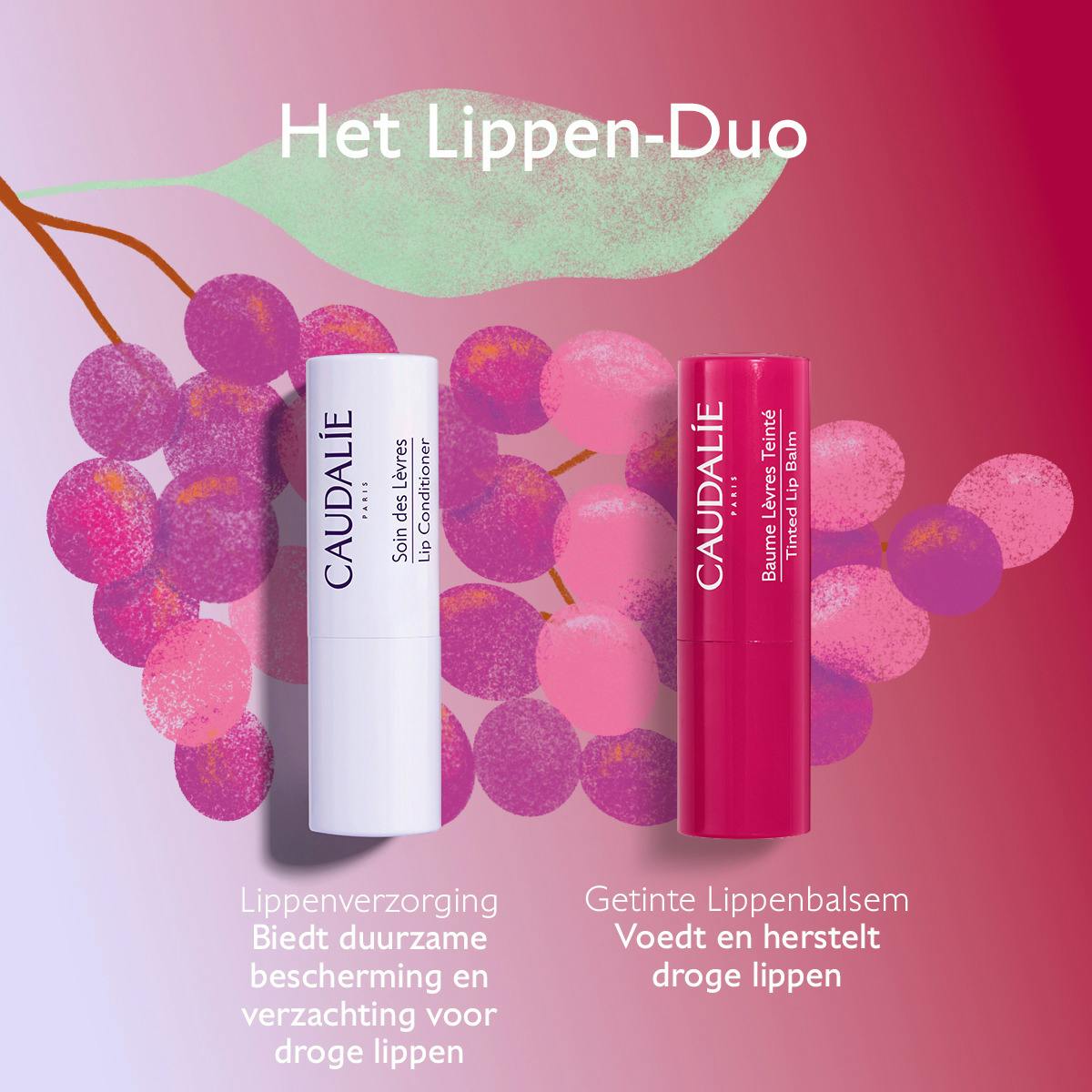 Lip Duo