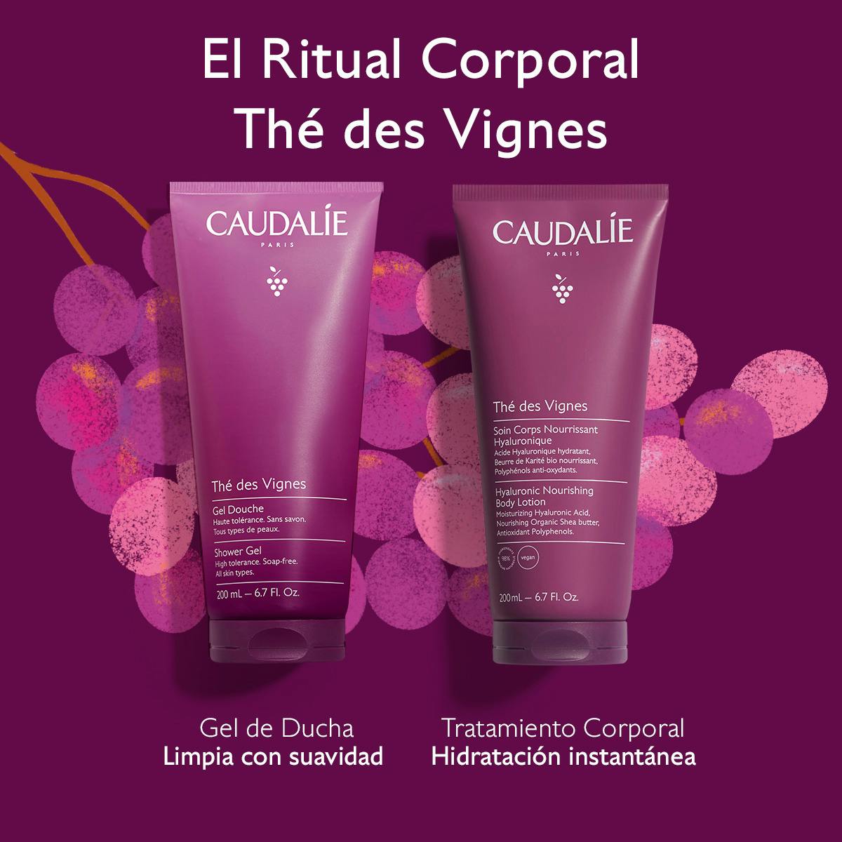 El Ritual Corporal Thé des Vignes