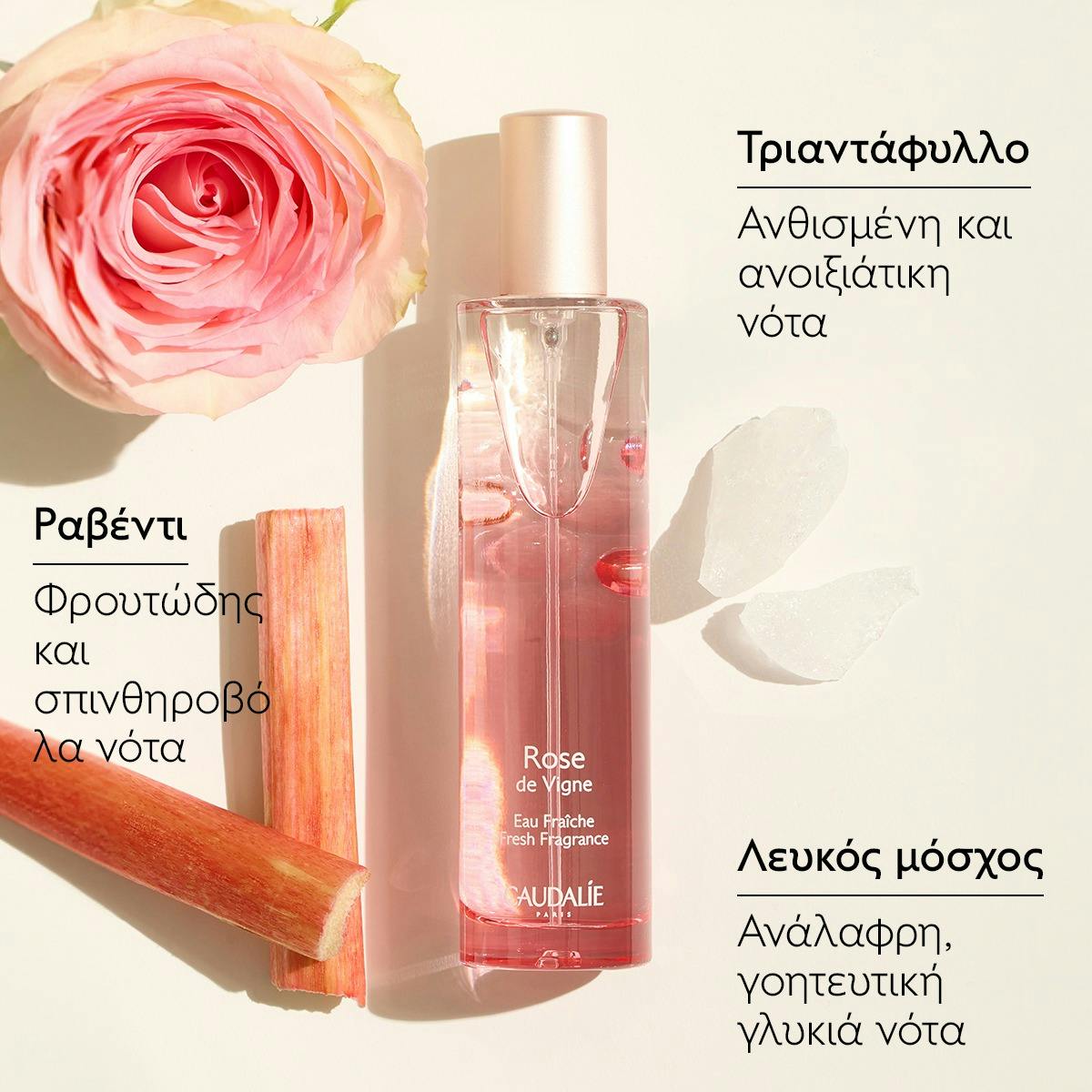 Eau Fraîche Rose de Vigne