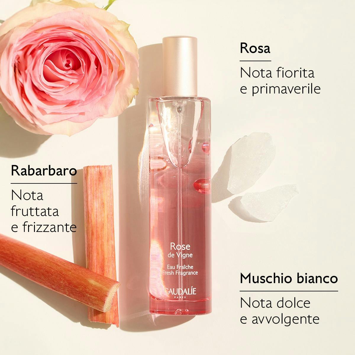 Acqua Fresca Rose de Vigne