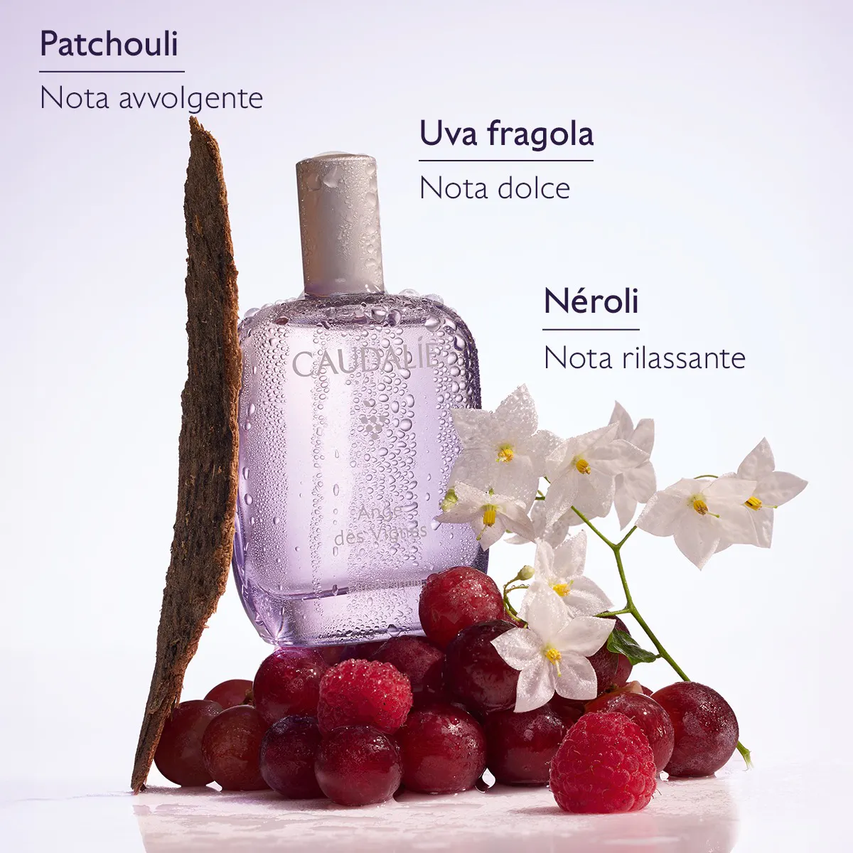 Eau de Parfum Ange des Vignes
