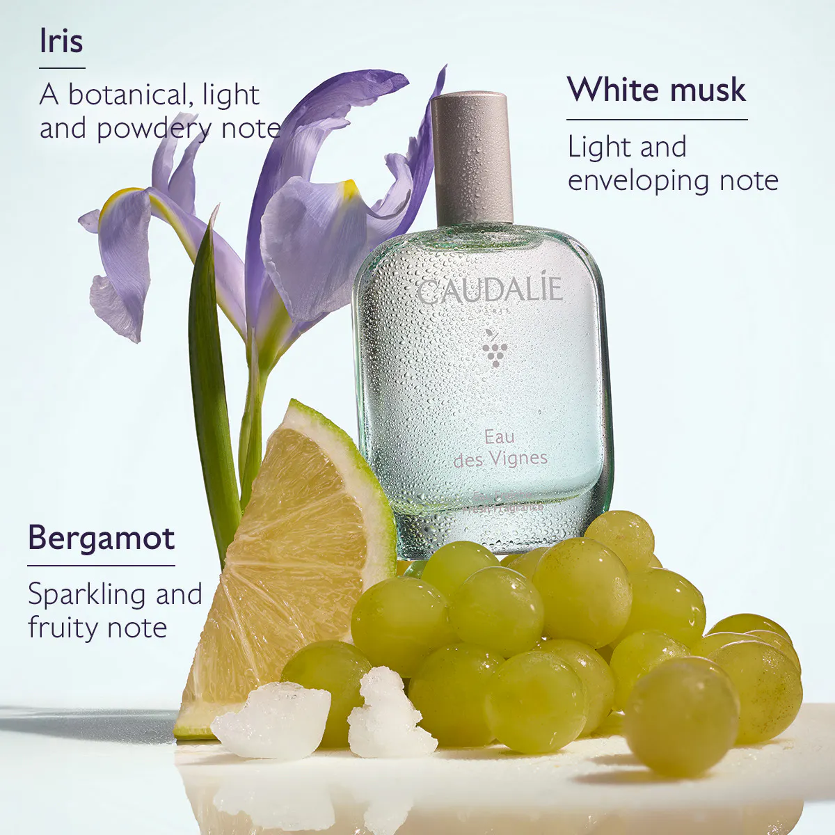 Fresh Fragrance Eau des Vignes