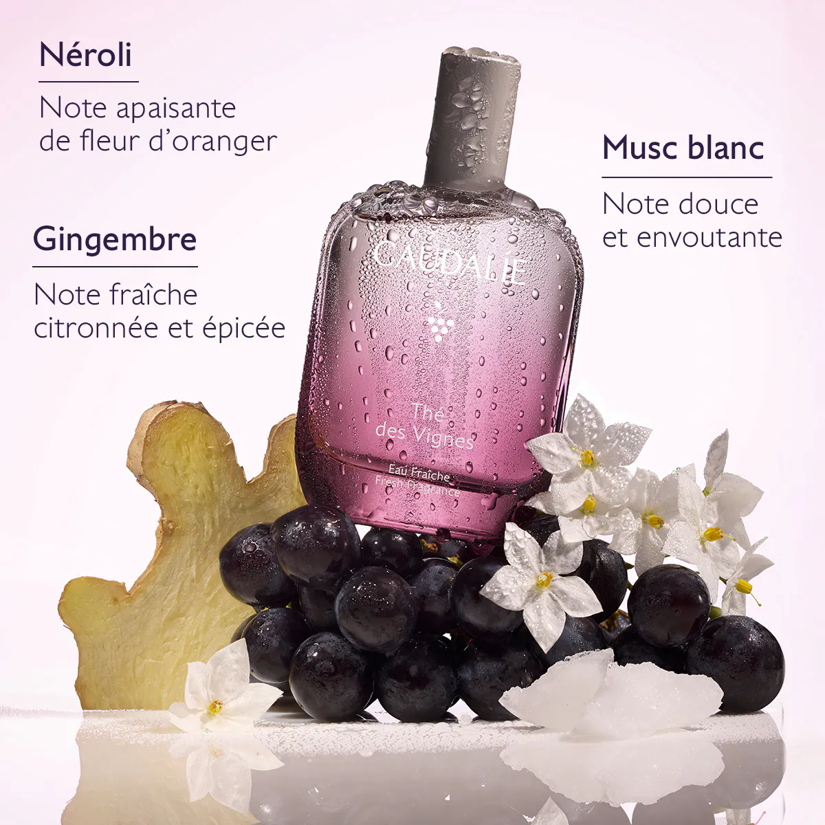 Eau Fraîche Thé des Vignes - 100mL