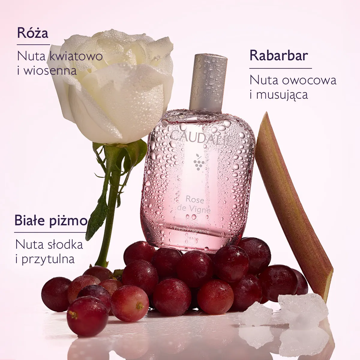 Rose de Vigne Orzeźwiająca woda