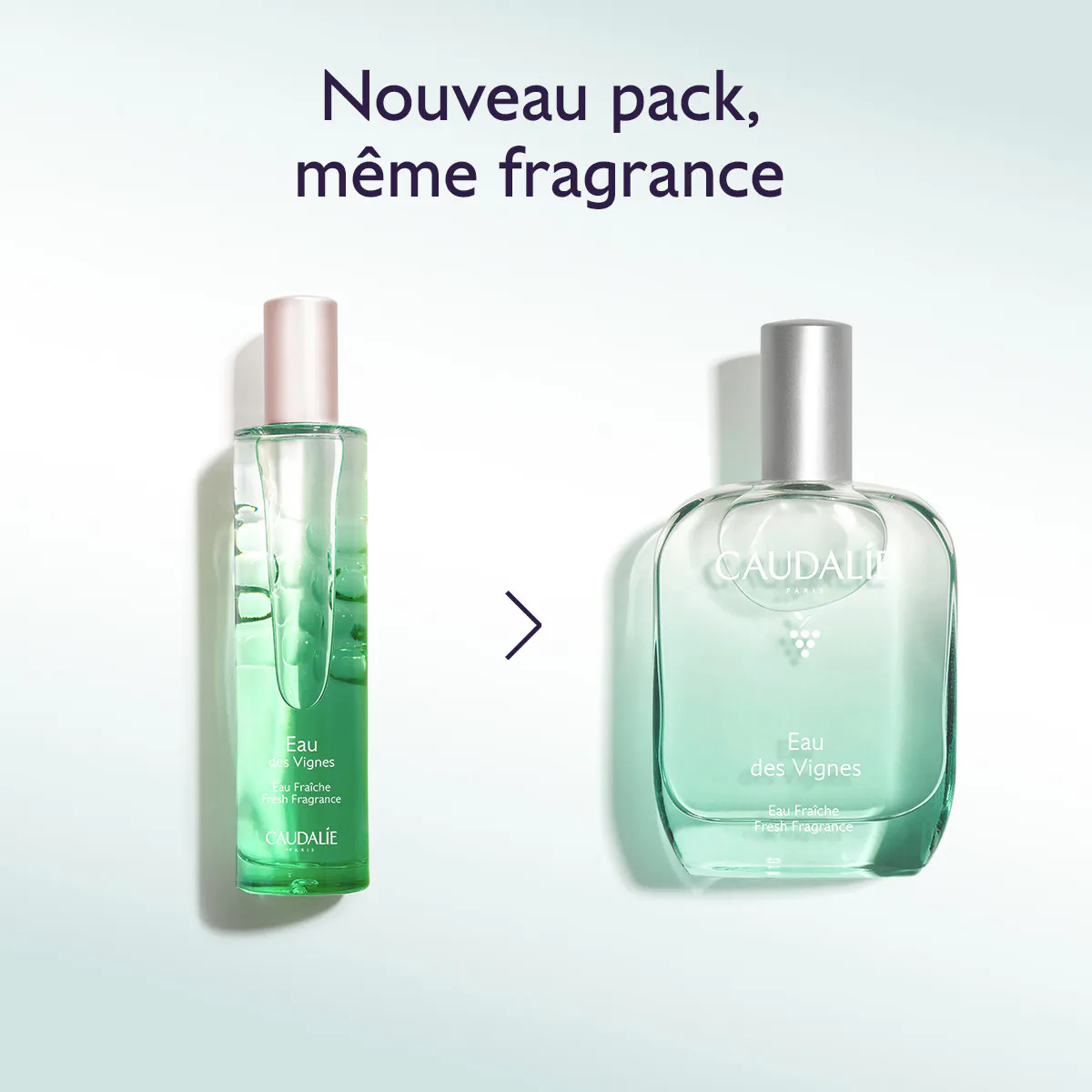 Eau Fraîche Eau des Vignes