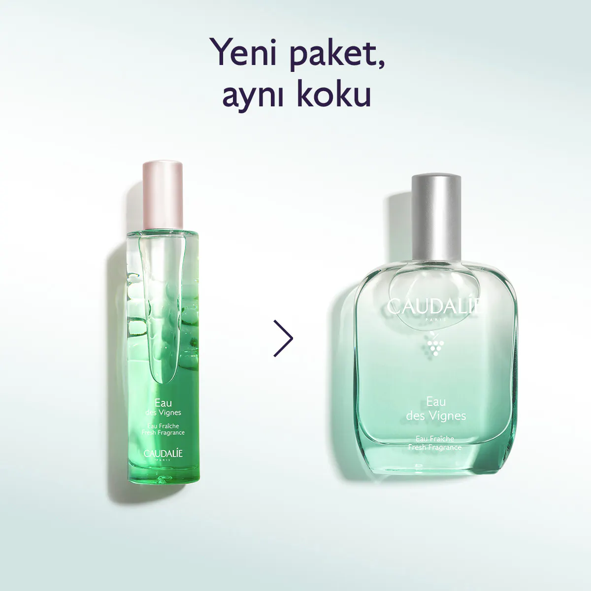 Eau des Vignes Aromalı Parfüm