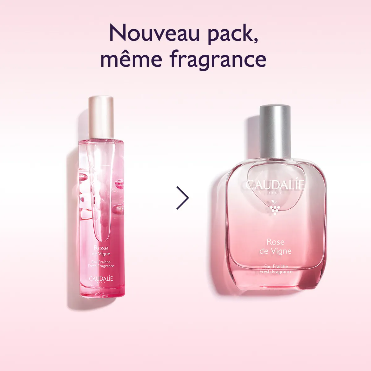 Eau Fraîche Rose de Vigne