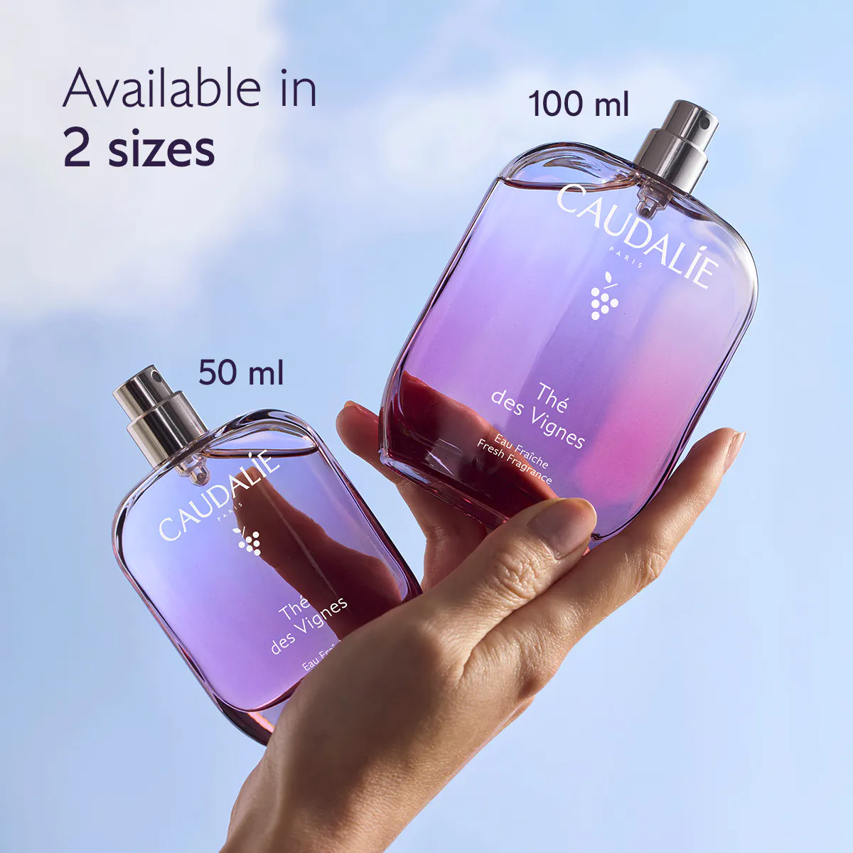 Fresh Fragrance Thé des Vignes