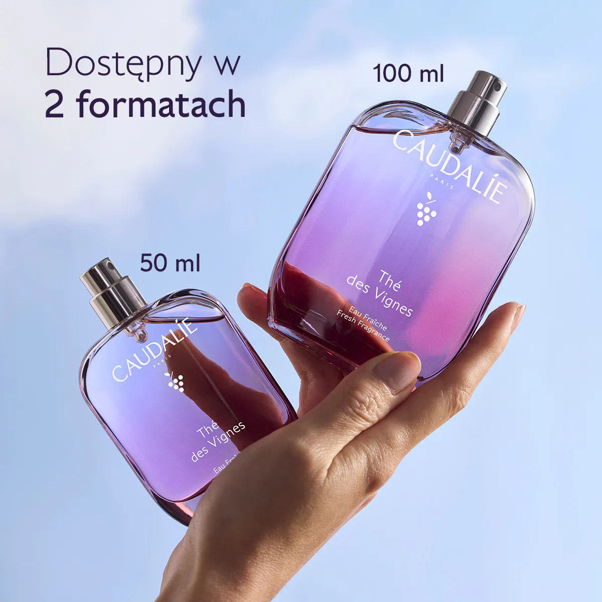 Orzeźwiająca Woda Thé des Vignes