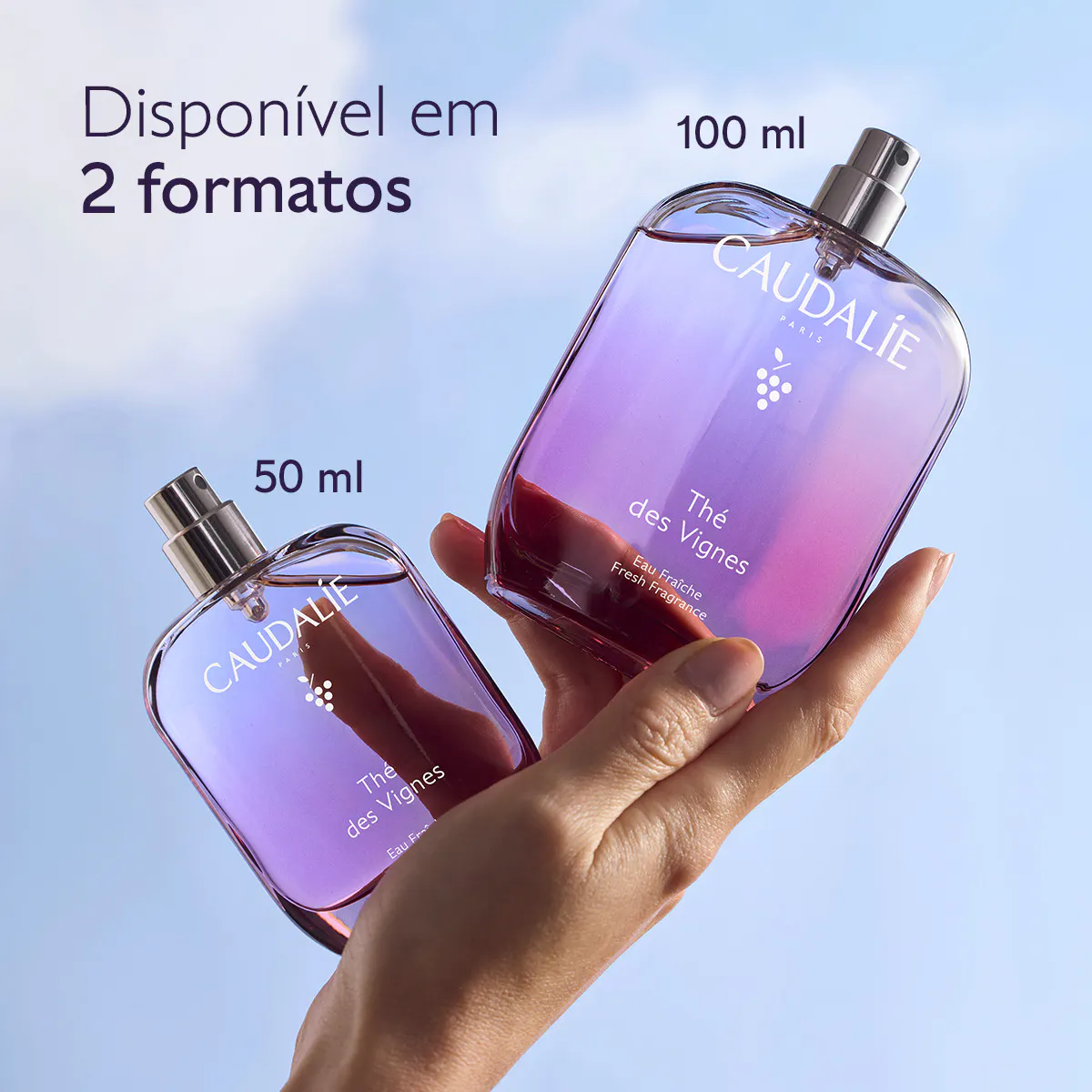 Água Fresca Thé des Vignes - 100mL