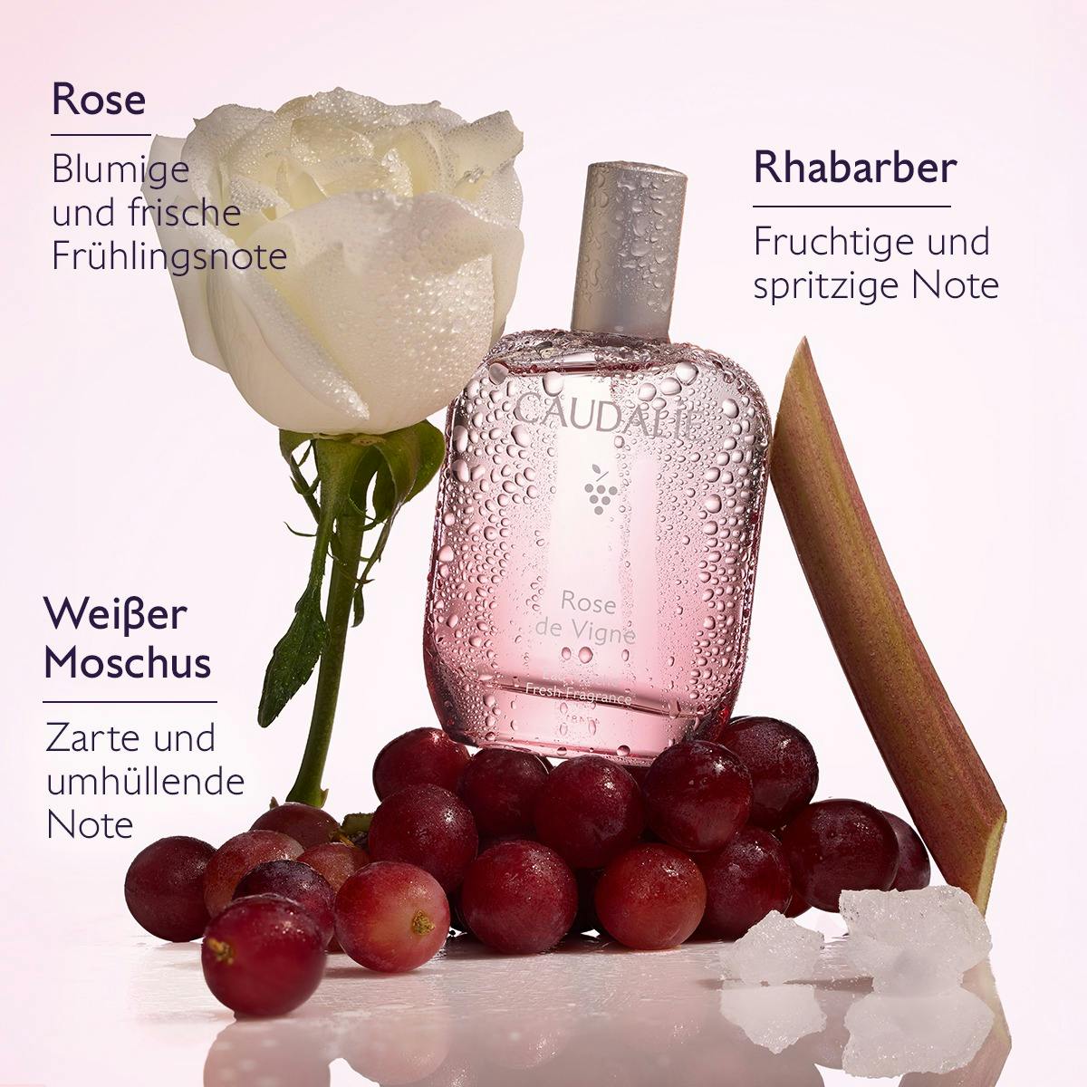 Rose de Vigne Eau Fraîche Set