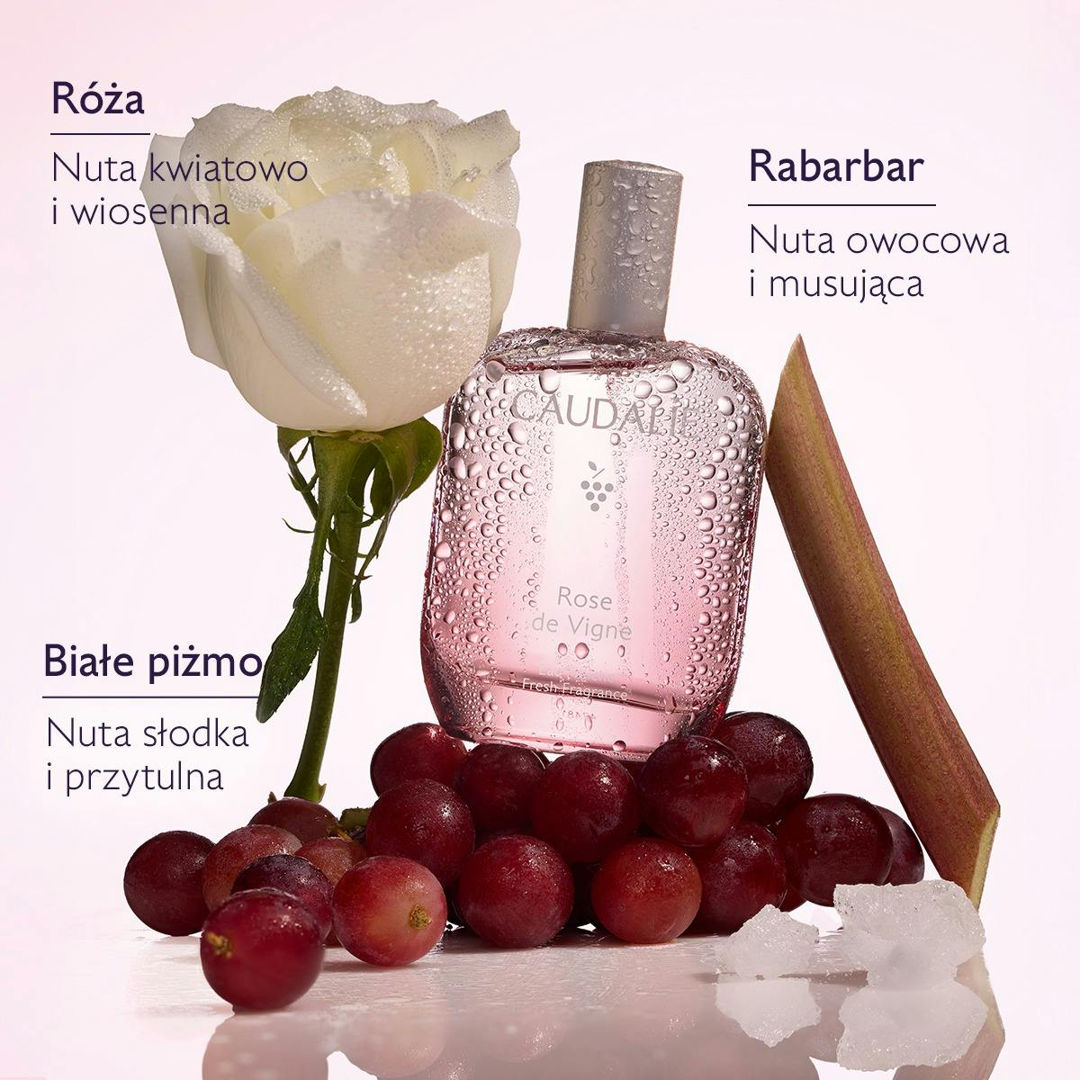 Zestaw Orzeźwiająca woda Rose de Vigne