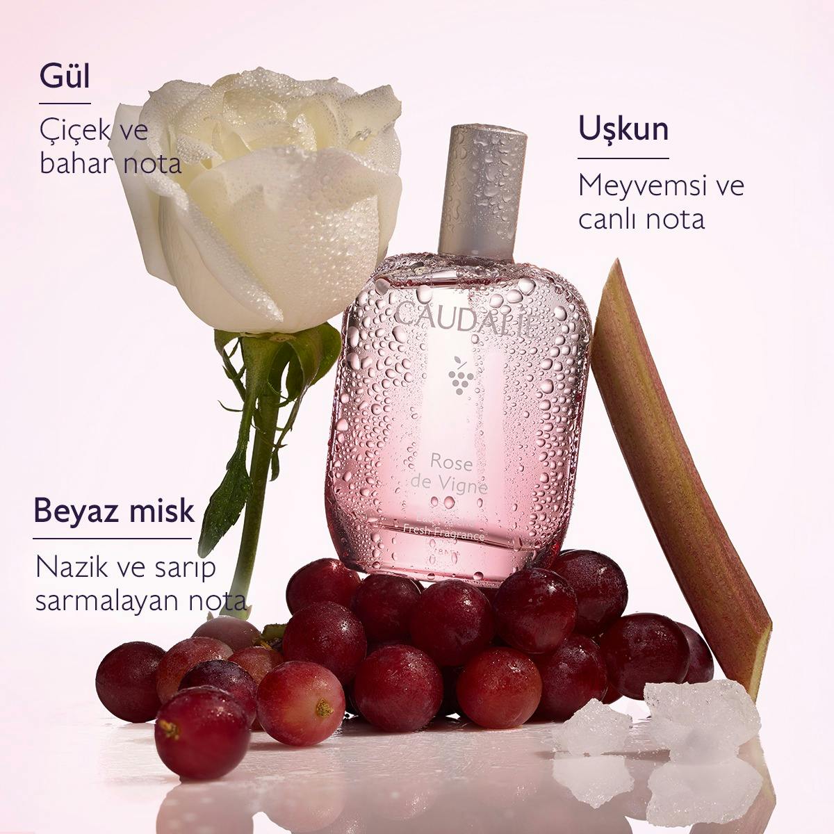 Rose de Vigne Aromalı Parfüm Seti