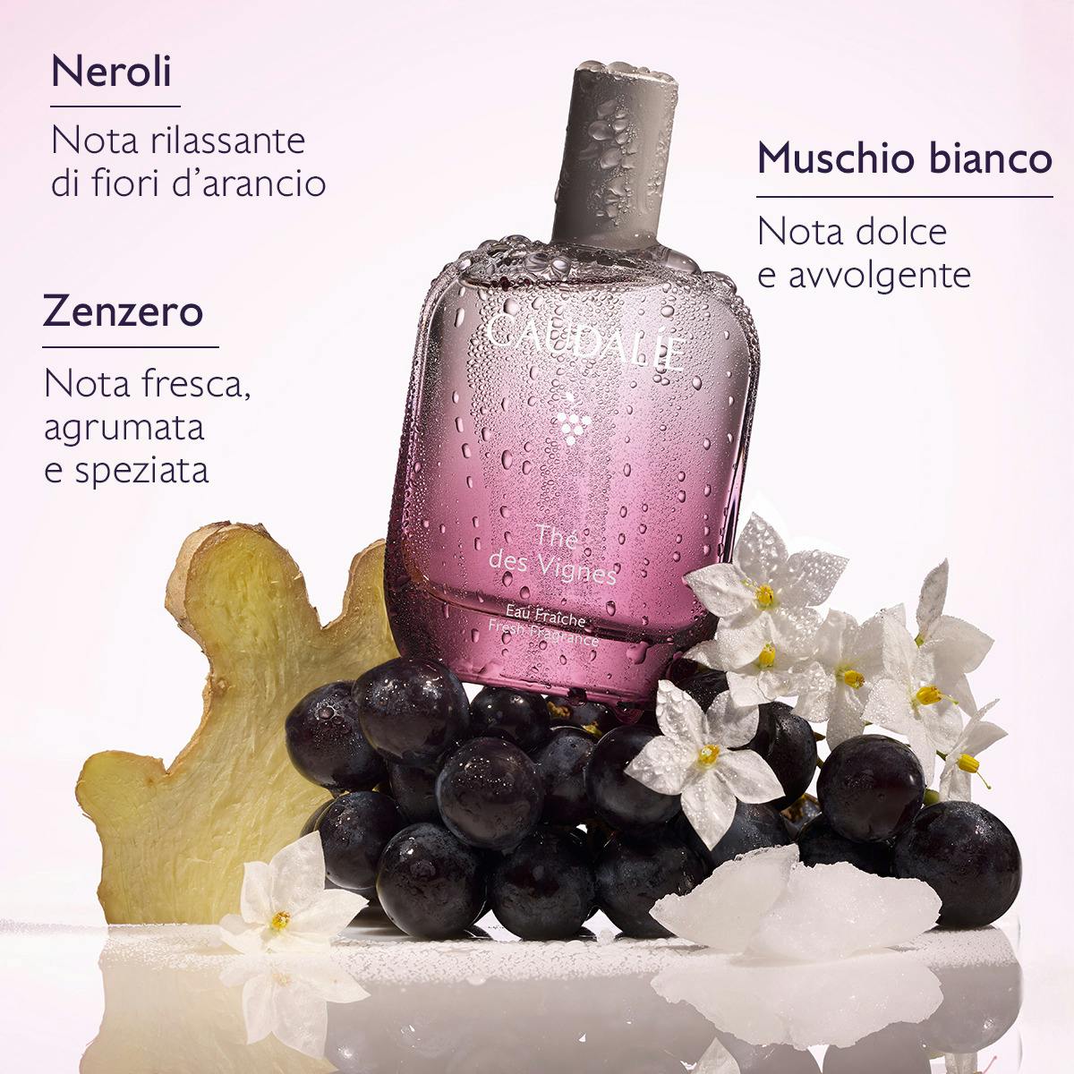 Cofanetto Acqua Profumata Thé des Vignes