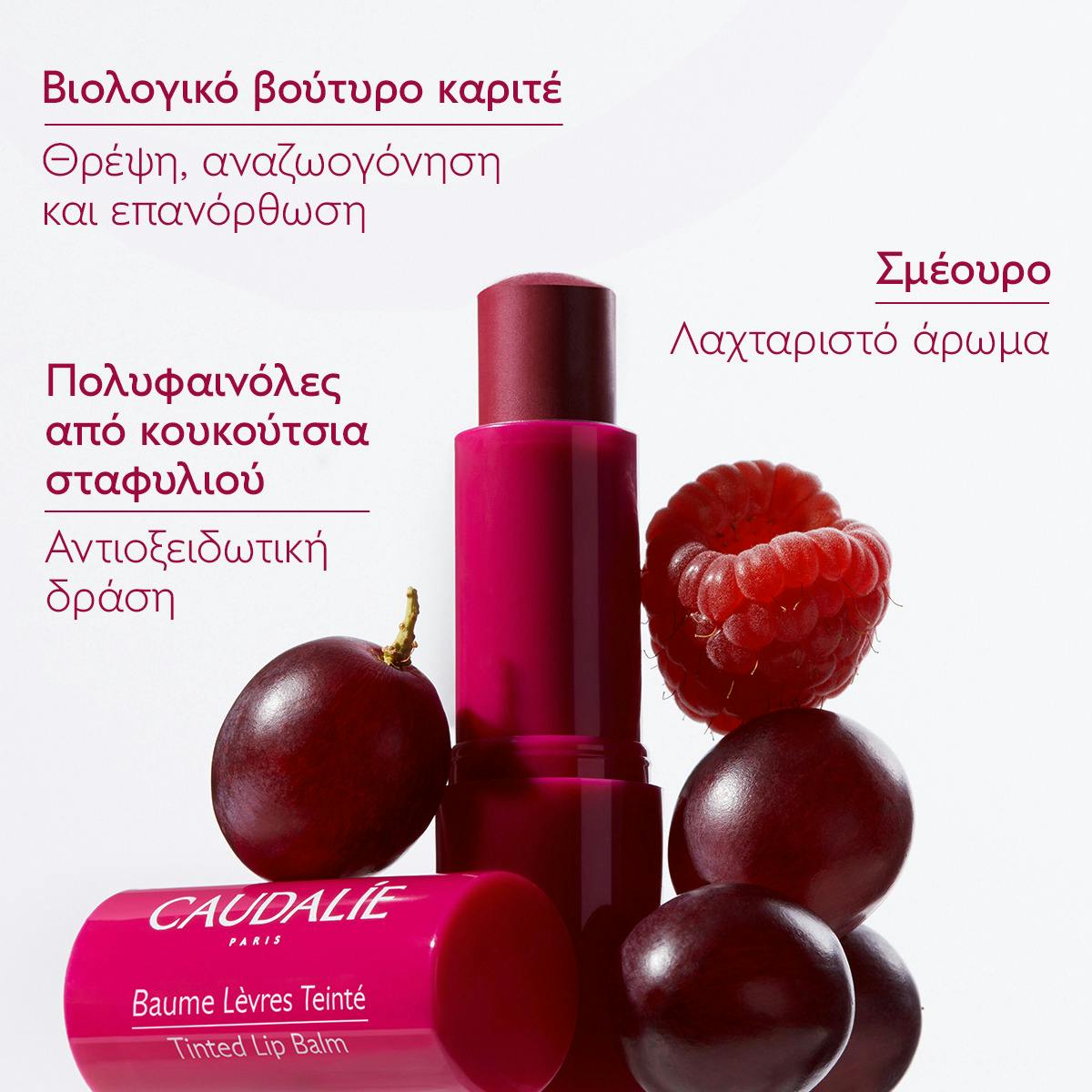 Tinted Lip Balm