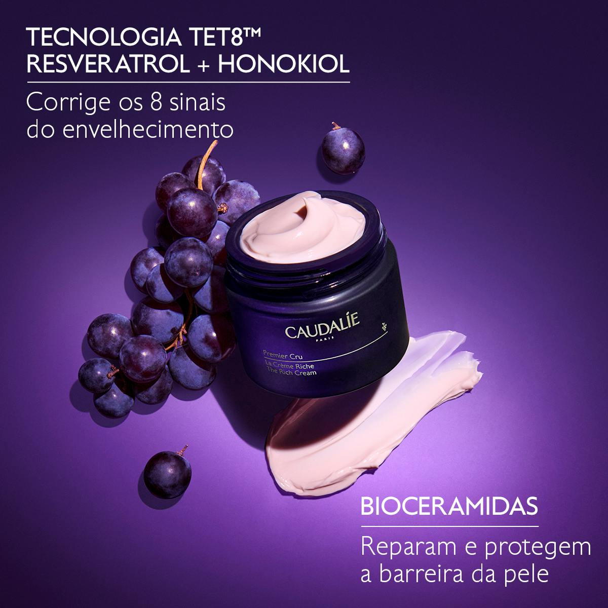 O Creme Rico antienvelhecimento global - Coleção Anterior