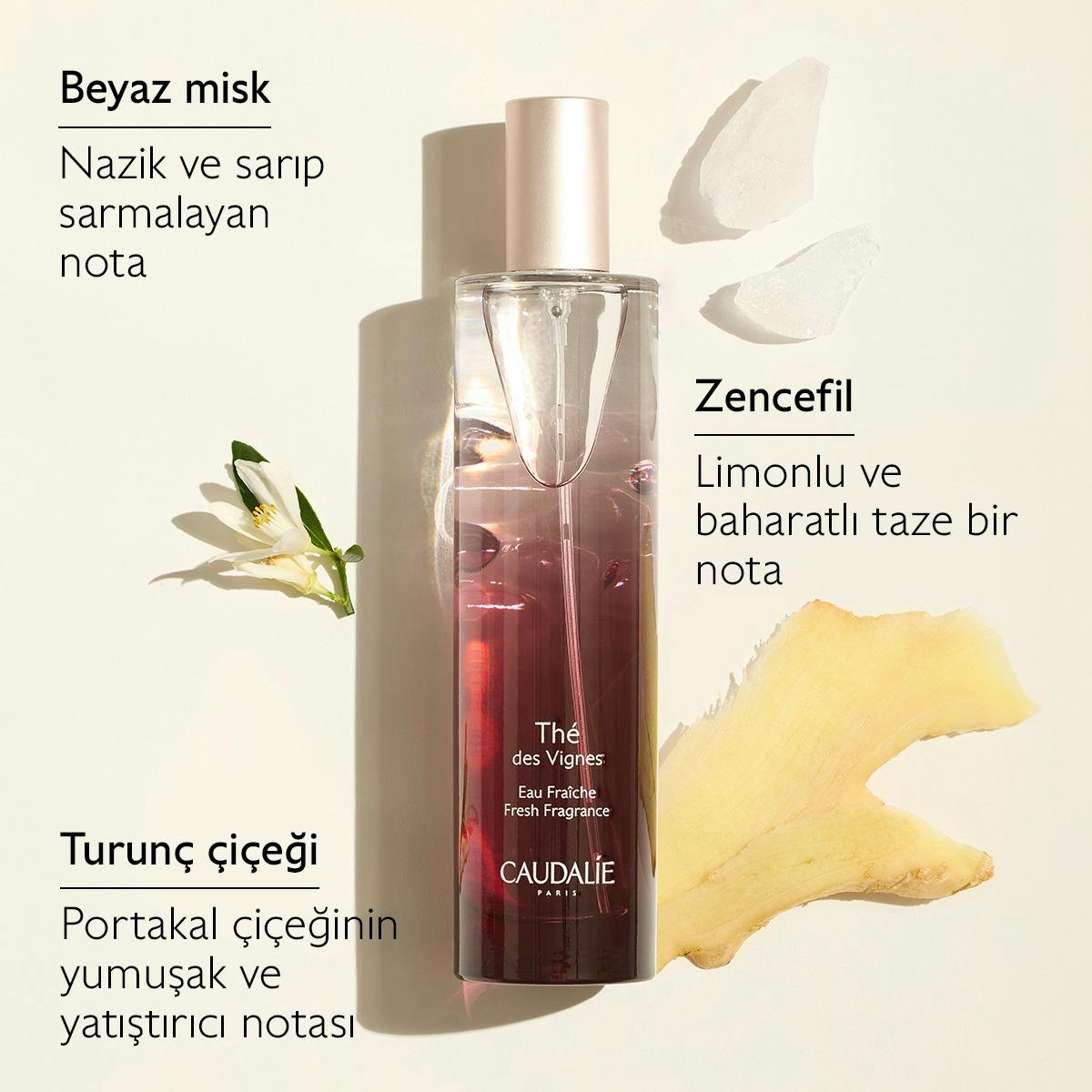 Thé des Vignes Aromalı Parfüm Seti