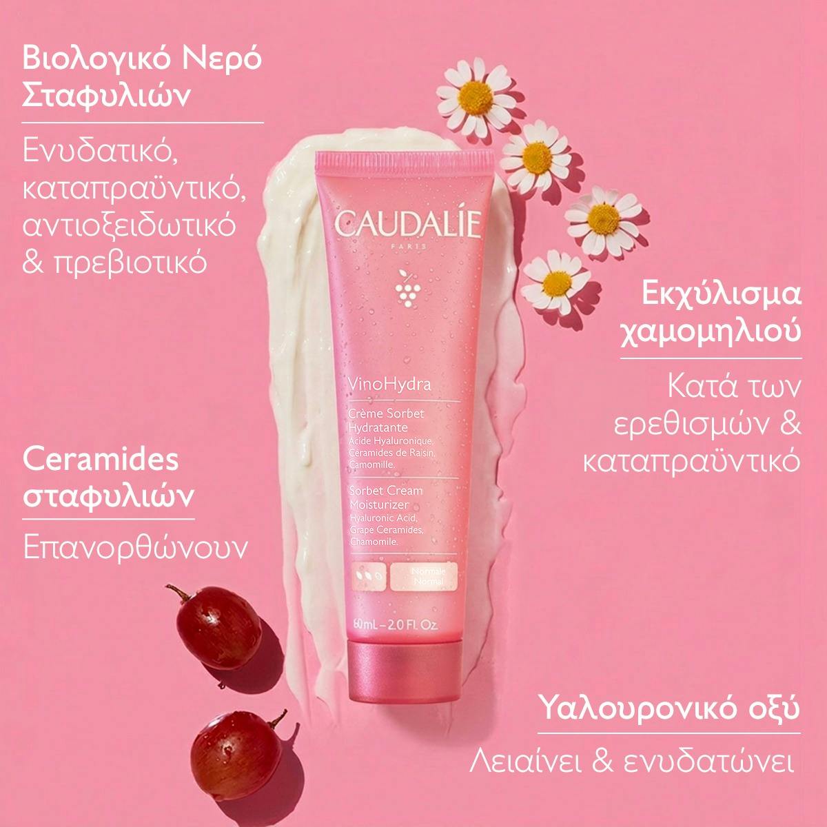 Sorbet Cream Moisturizer