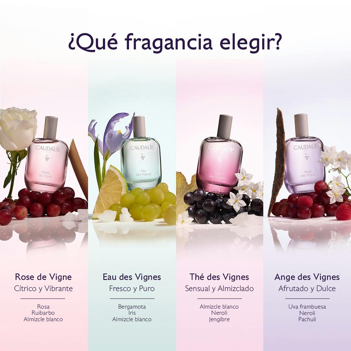 Agua Fresca Rose de Vigne