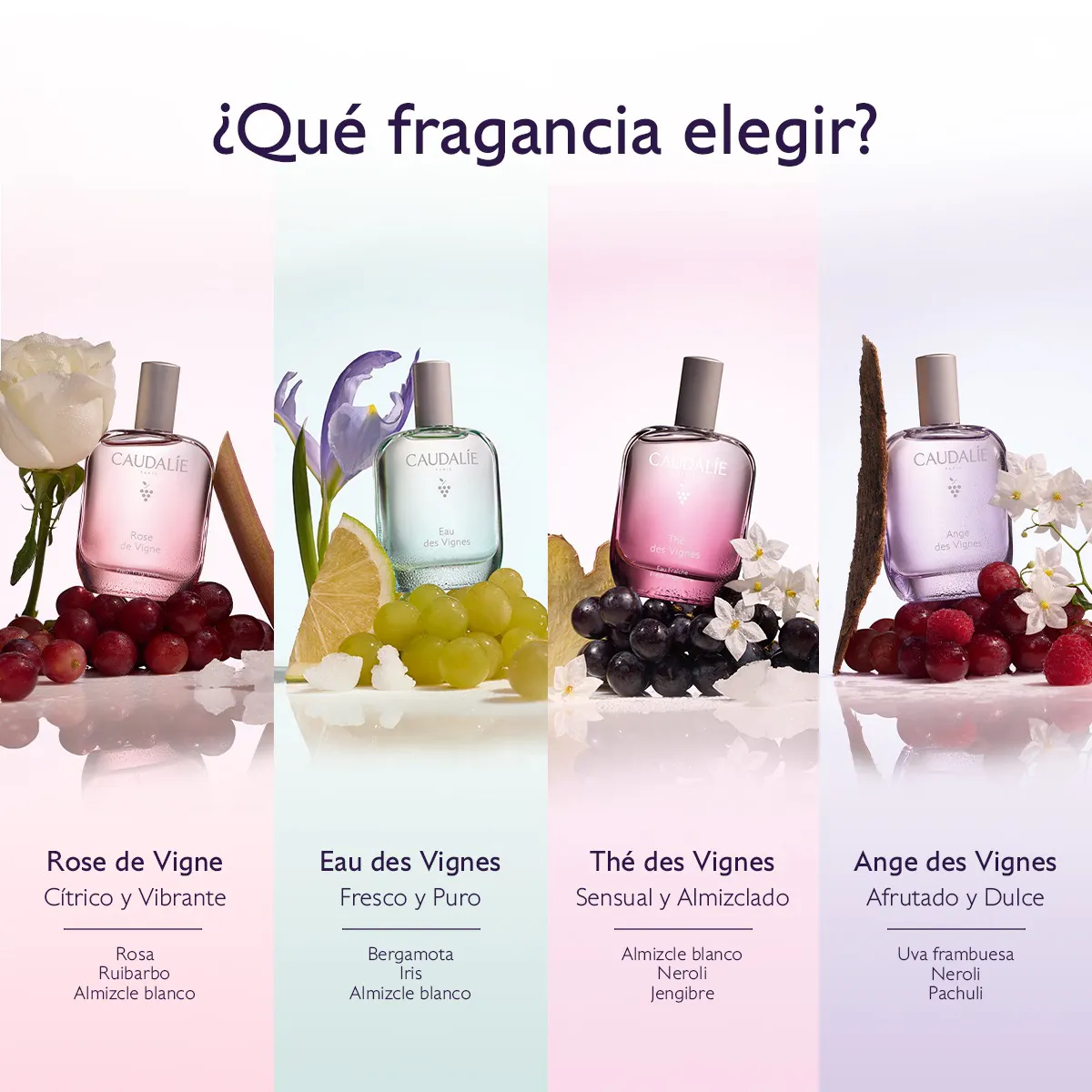 Agua Fresca Rose de Vigne