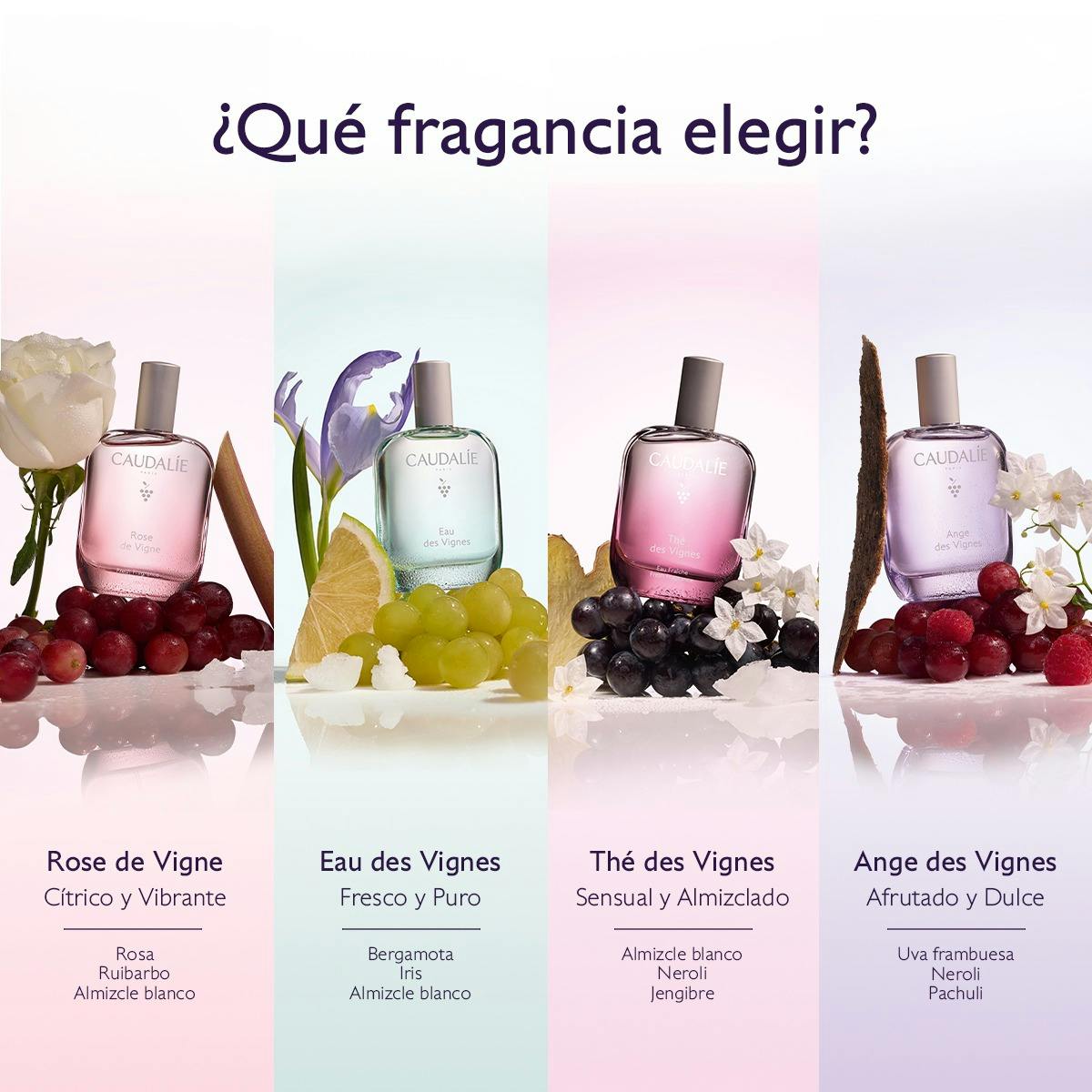 Agua Fresca Ange des Vignes